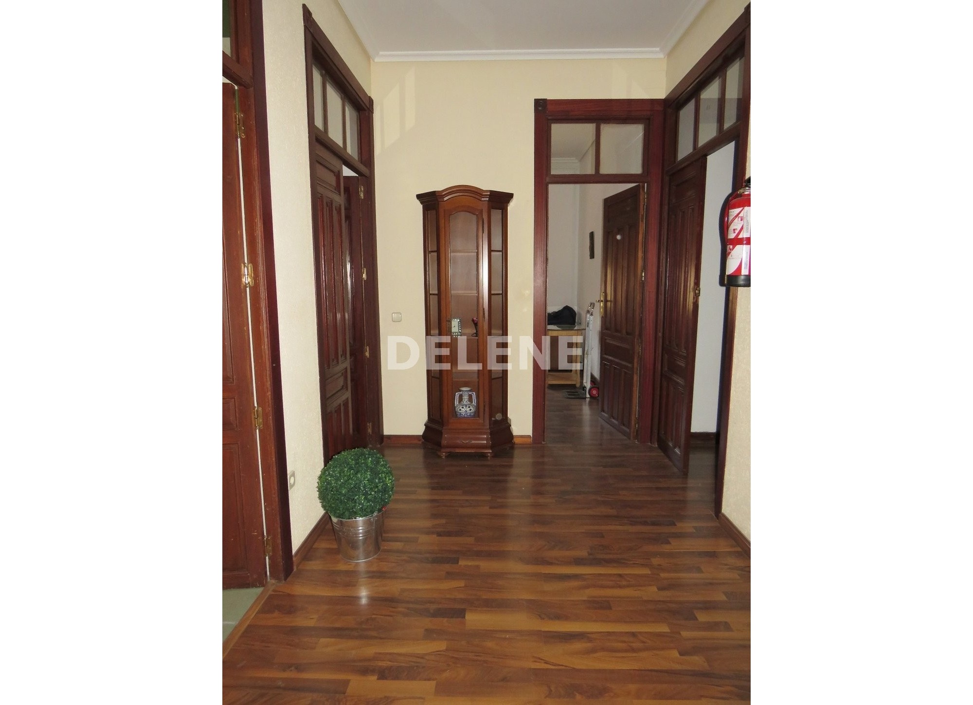 1877 PISO, ZONA PLAZA NUEVA