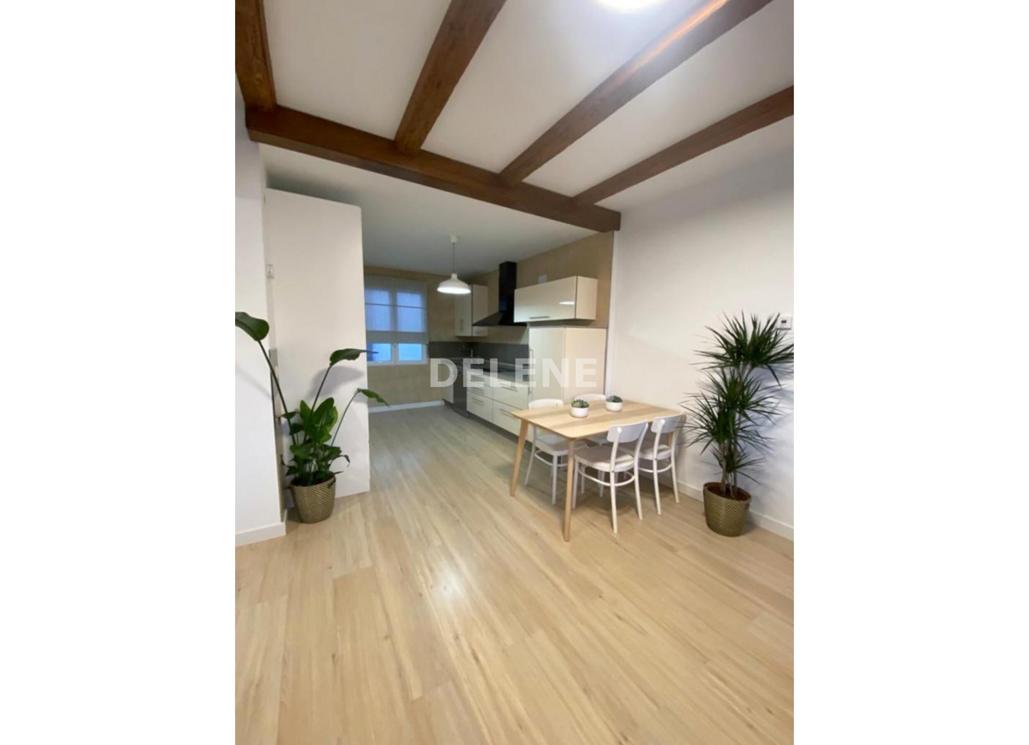 2636 PISO MUY LUMINOSO, PRÓXIMO JARDÍN DEL TAMBORILERO