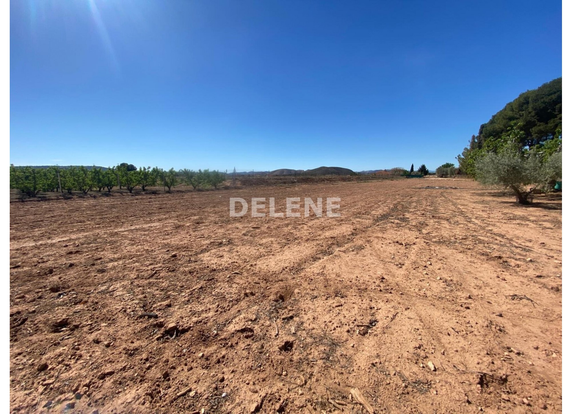 2643 TERRENO EN NAVA DEL PANDERO