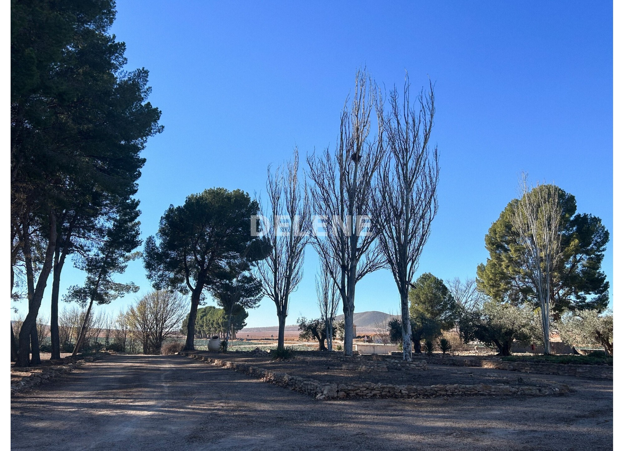 2667 EDIFICIO CON TERRENO EN SIERRA