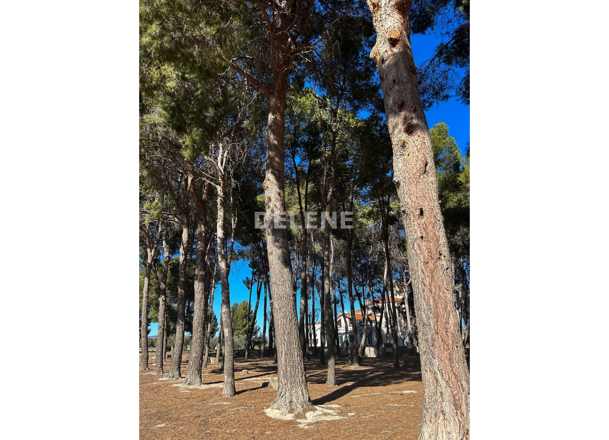 2667 EDIFICIO CON TERRENO EN SIERRA