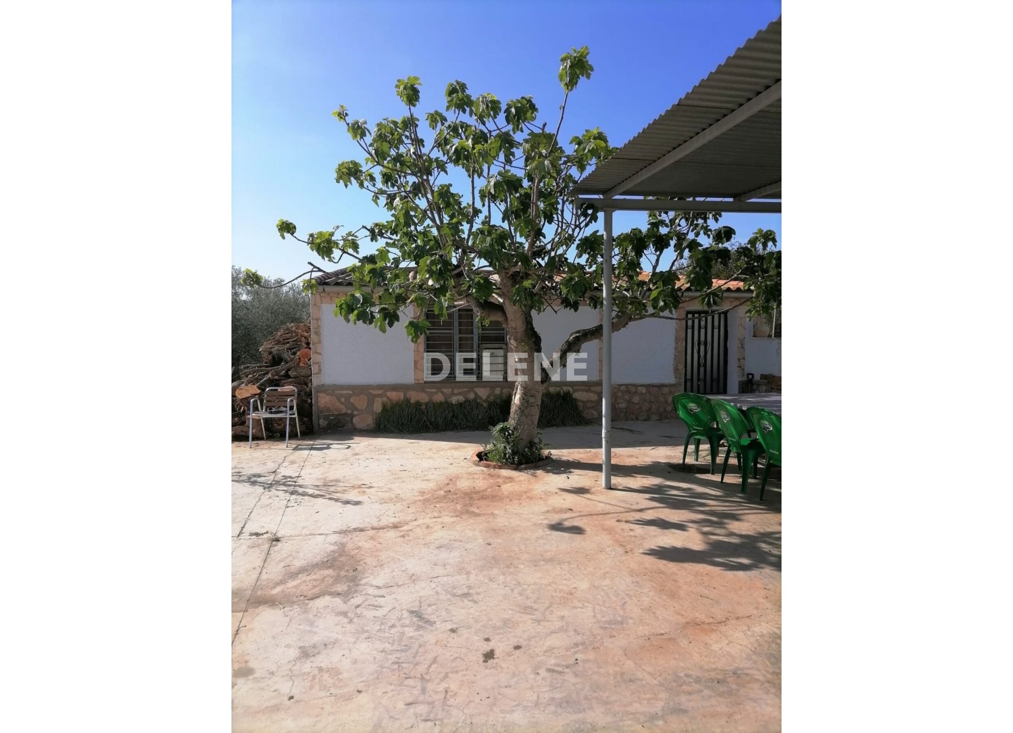 2755 CAMPO