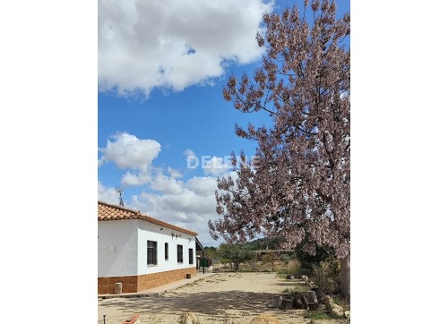 1903 CHALET DE CAMPO EN PARAJE ALBORAJ, TOBARRA