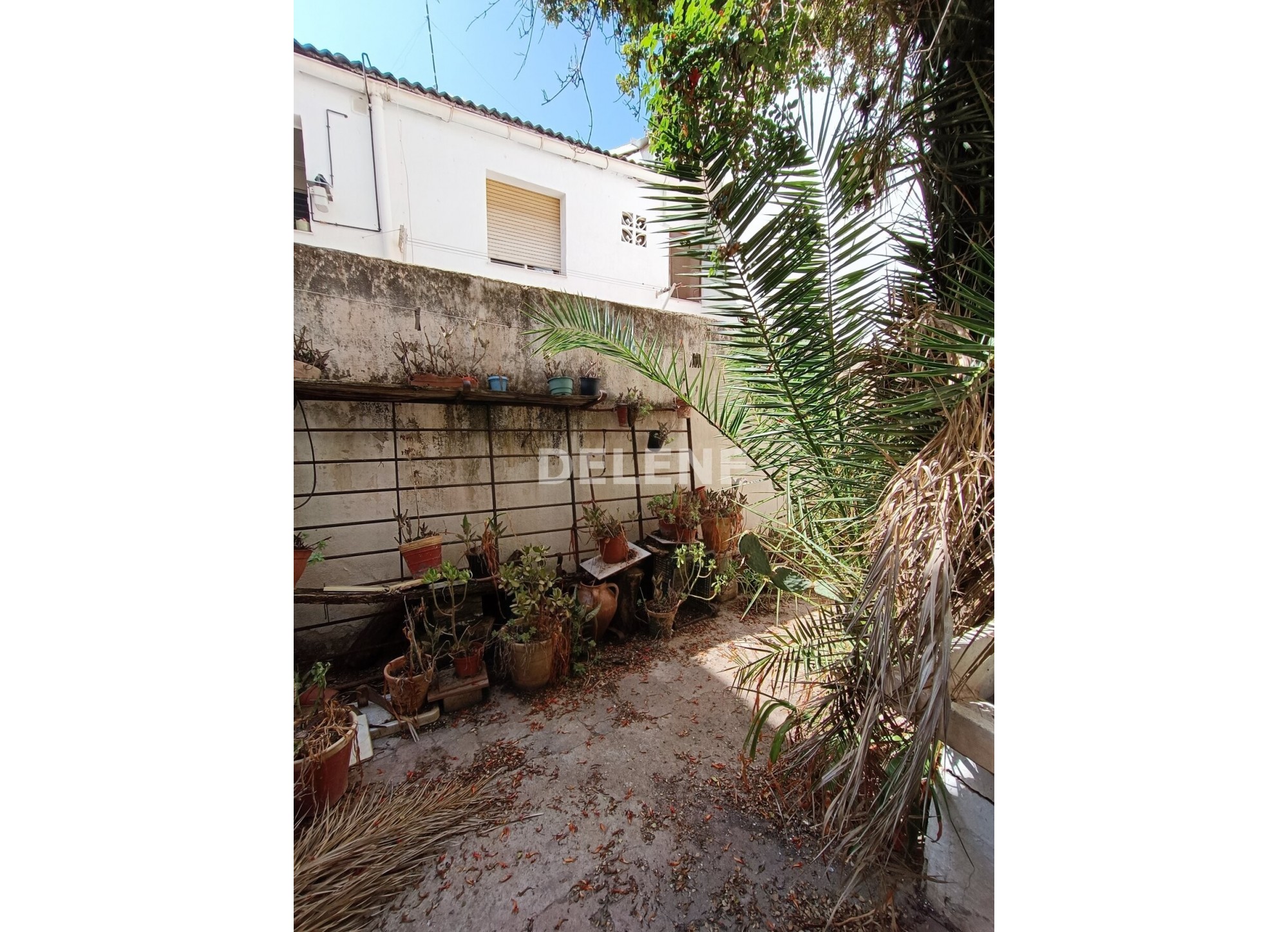 2816 CASA CON PATIO PRÓXIMA A JARDIN DEL TAMBORILERO