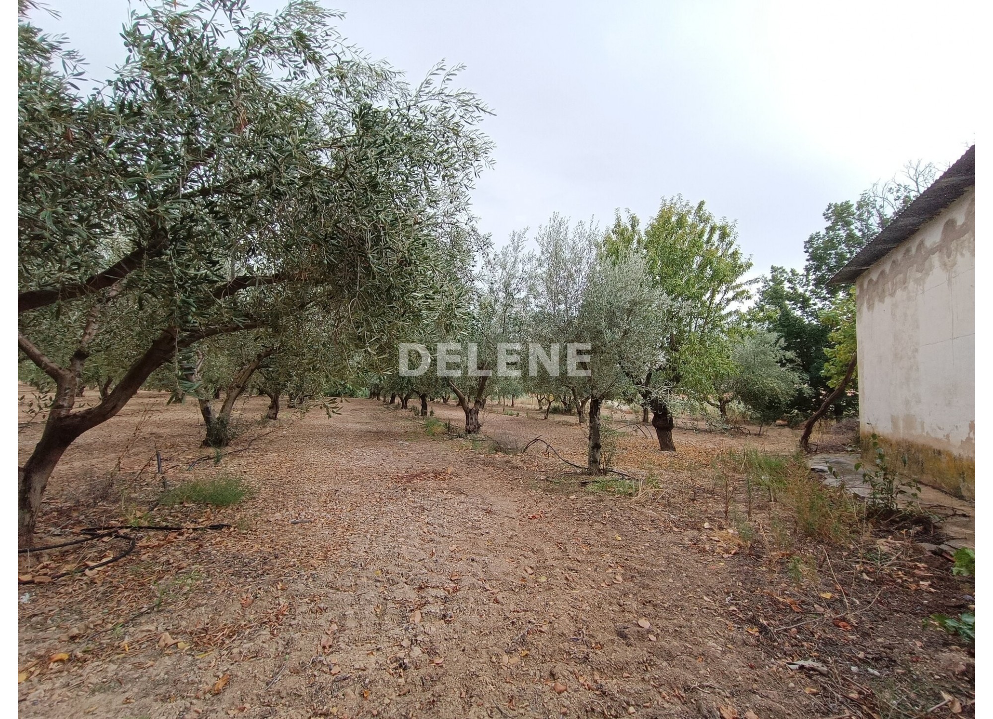 2857 CASA CON PATIO Y TERRENO EN SIERRA