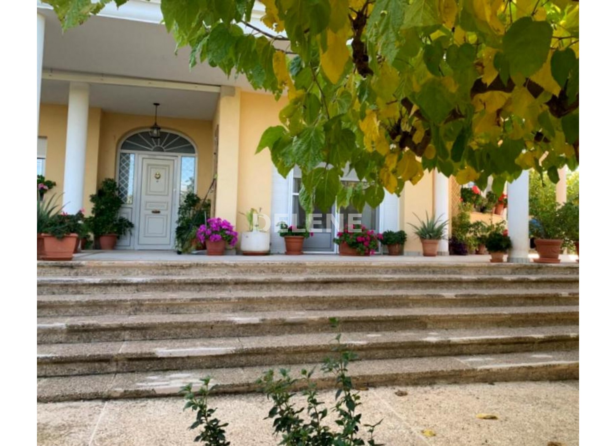 2708 CHALET DE CAMPO CON GARAJE, EN HELLÍN