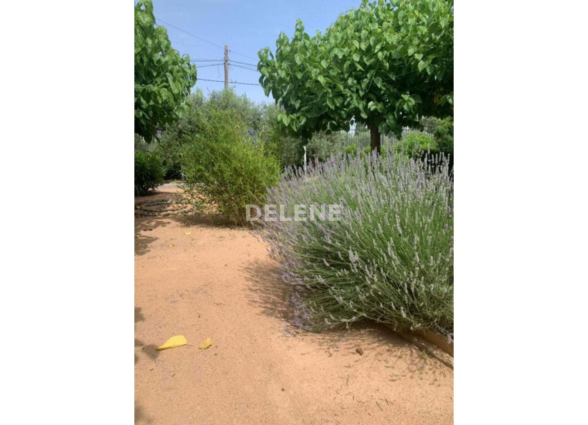 2708 CHALET DE CAMPO CON GARAJE, EN HELLÍN