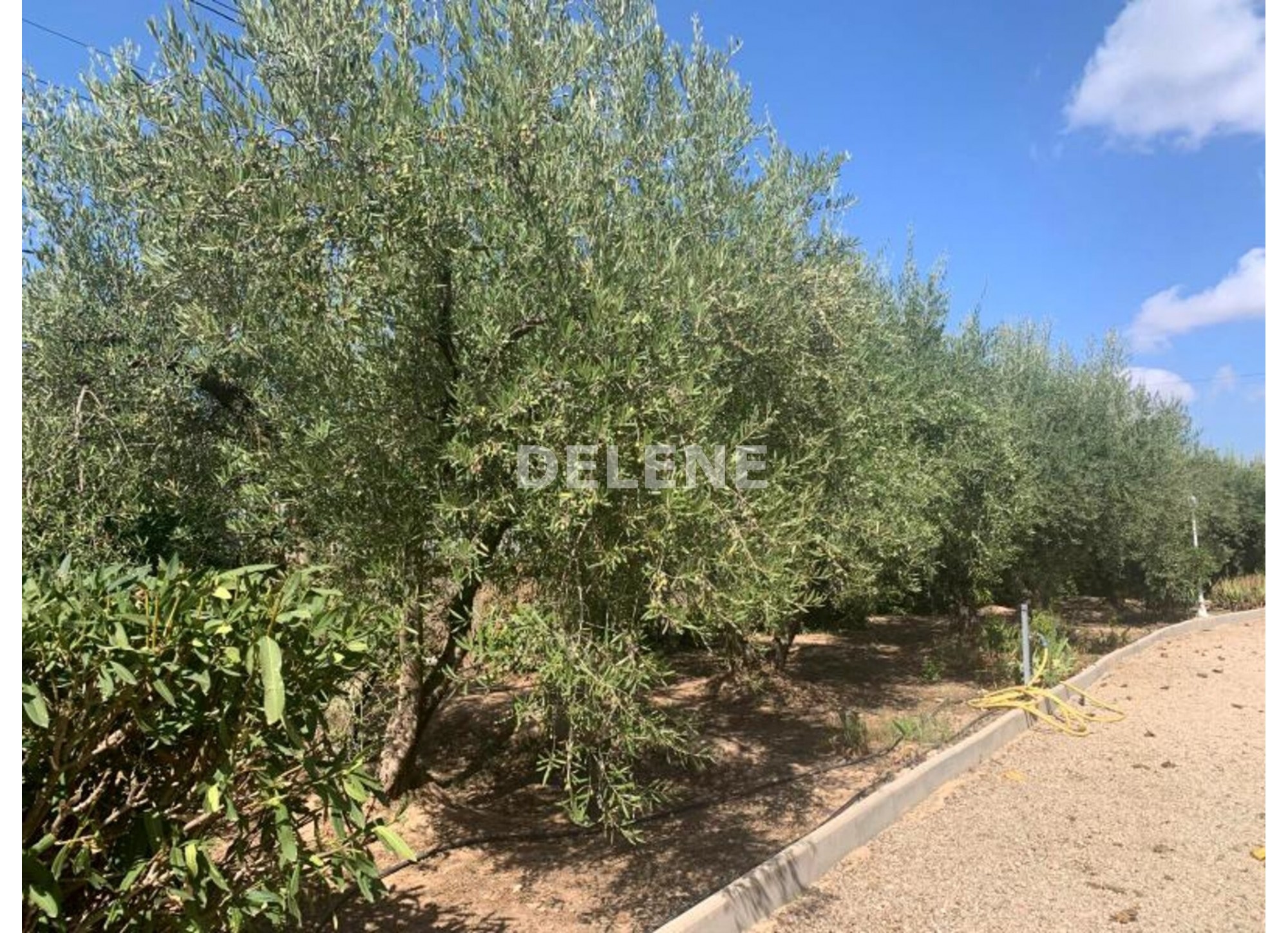 2708 CHALET DE CAMPO CON GARAJE, EN HELLÍN