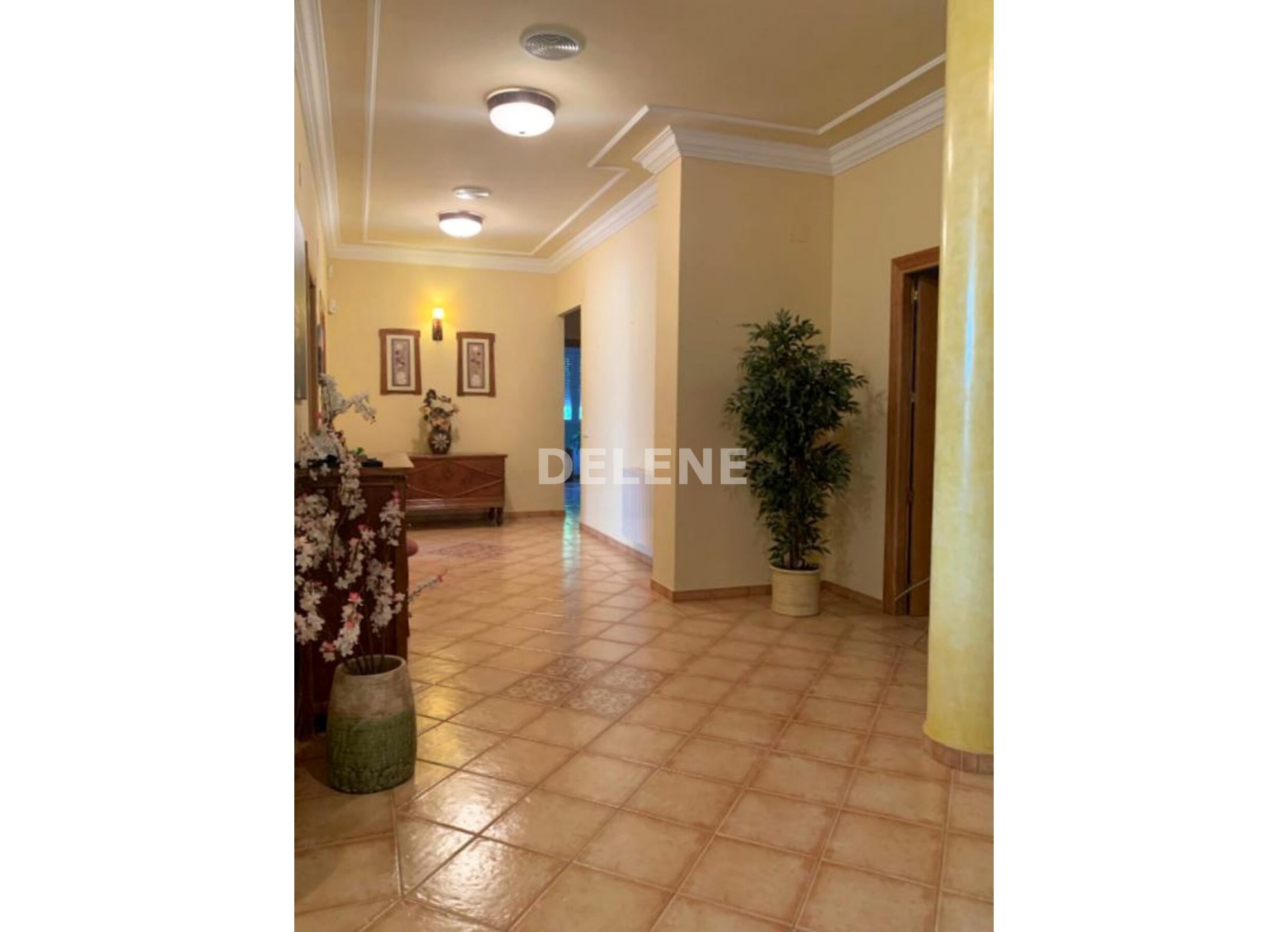 2708 CHALET DE CAMPO CON GARAJE, EN HELLÍN