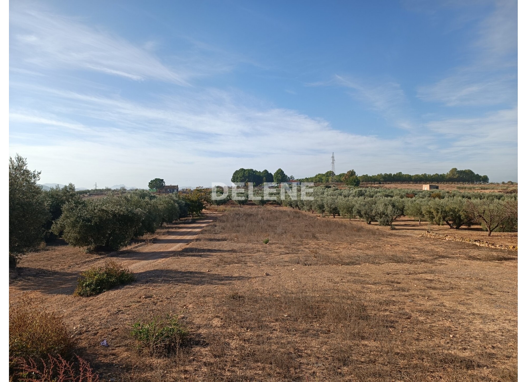 2867 PARCELA ZONA DE LA OLIVARERA