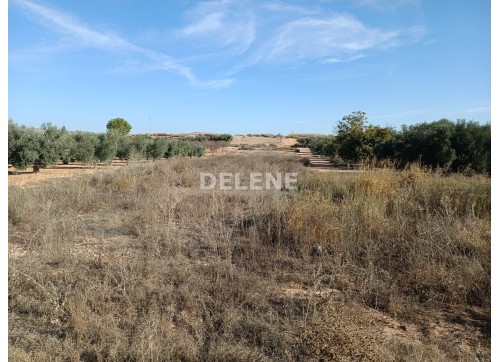 2867 PARCELA ZONA DE LA OLIVARERA