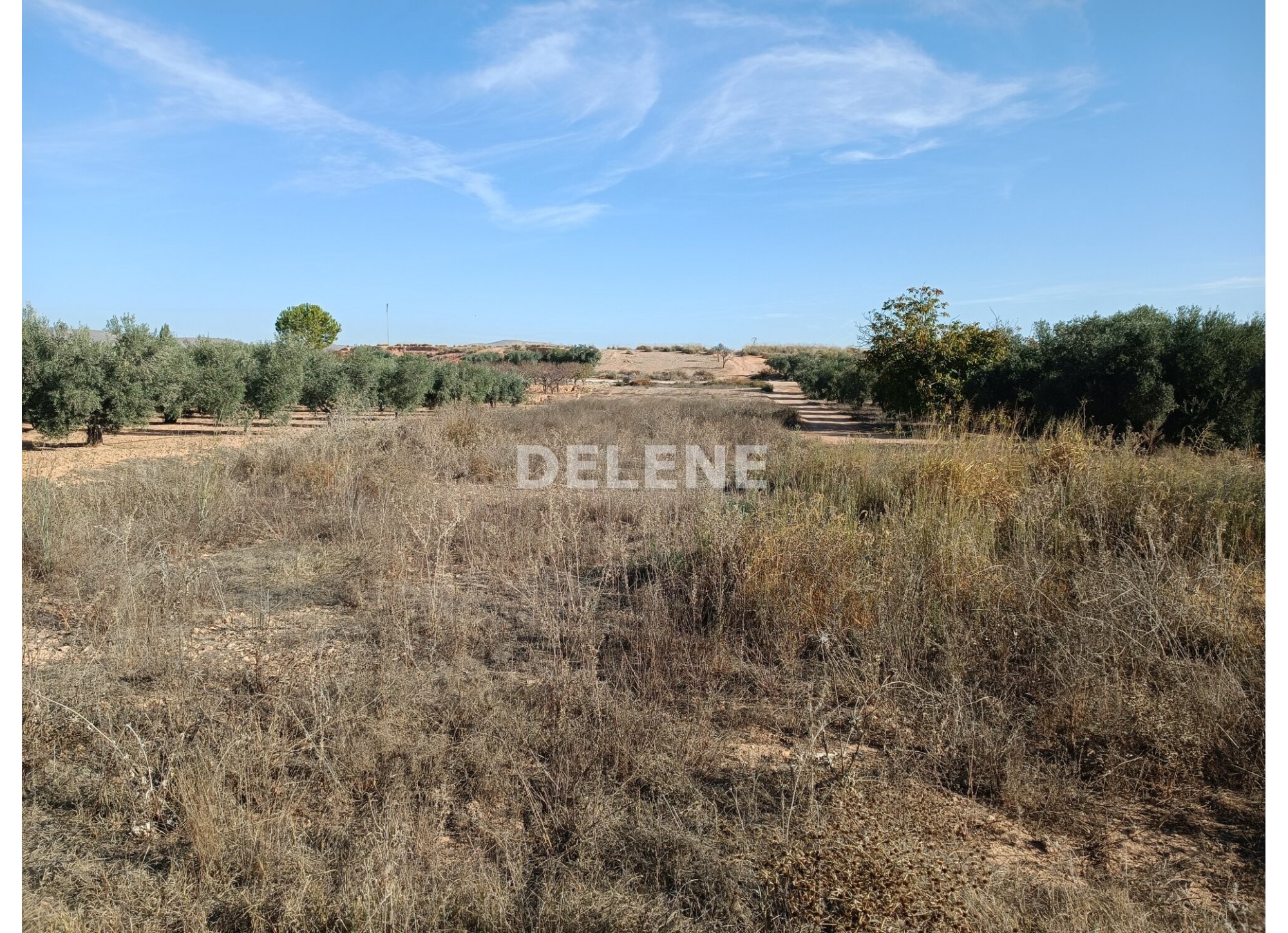 2867 PARCELA ZONA DE LA OLIVARERA