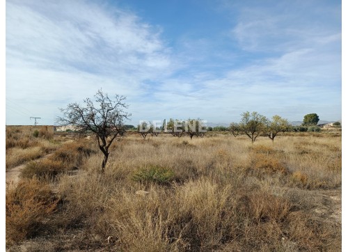 2868 PARCELA EN ZONA DE CONACO