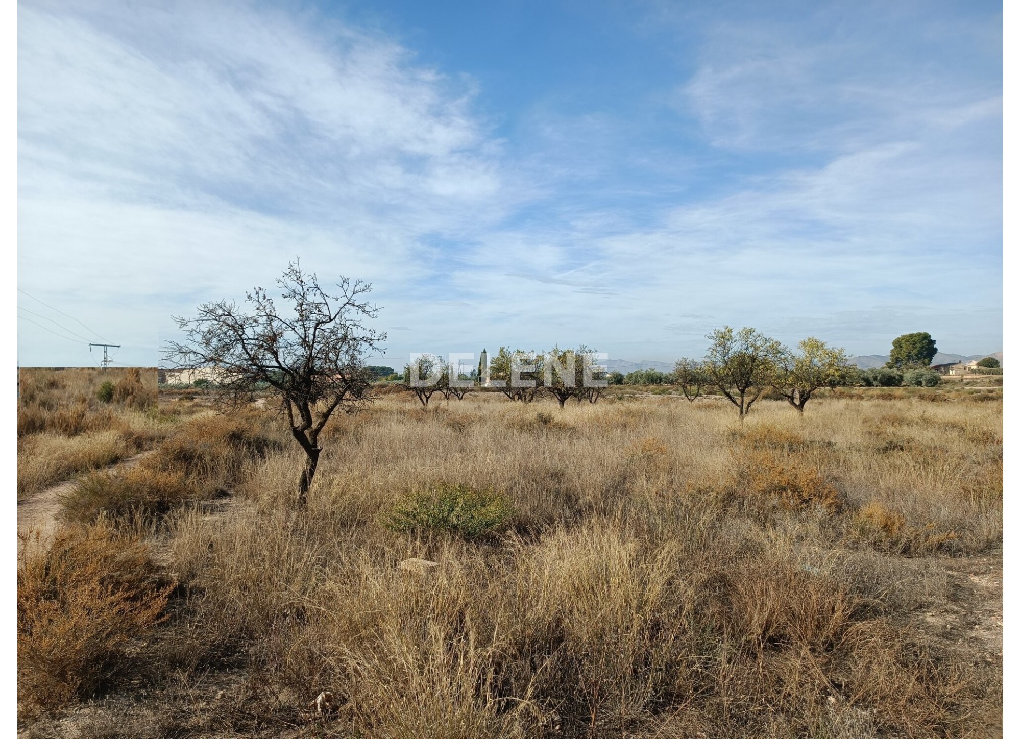 2868 PARCELA EN ZONA DE CONACO