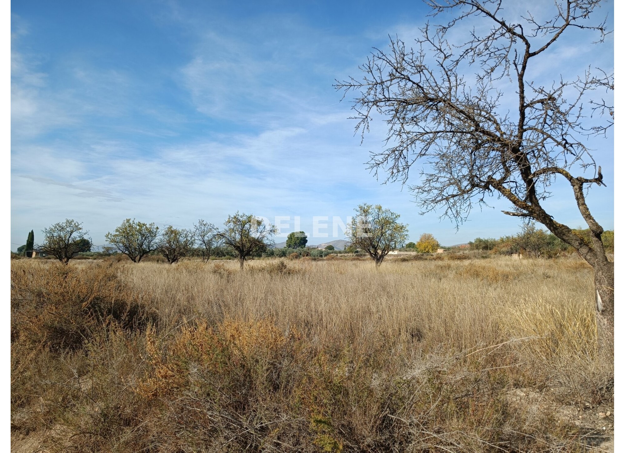 2868 PARCELA EN ZONA DE CONACO