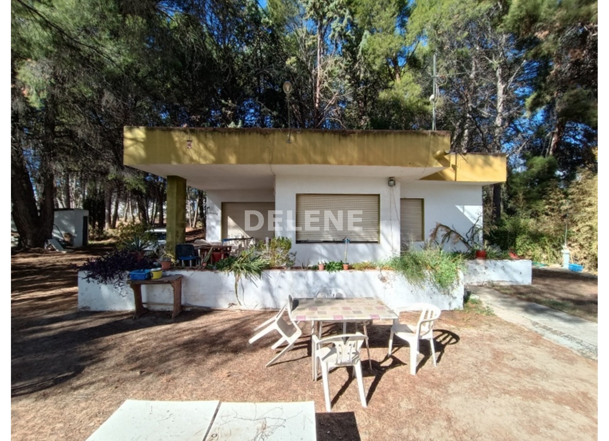 2870 CHALET DE CAMPO CON PISCINA Y TERRENO, ZONA LA LOSILLA