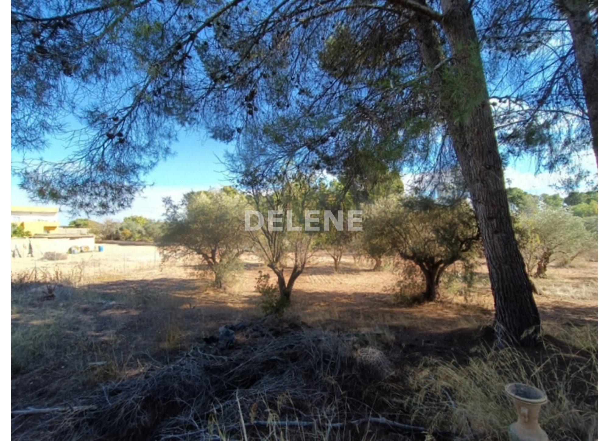 2870 CHALET DE CAMPO CON PISCINA Y TERRENO, ZONA LA LOSILLA