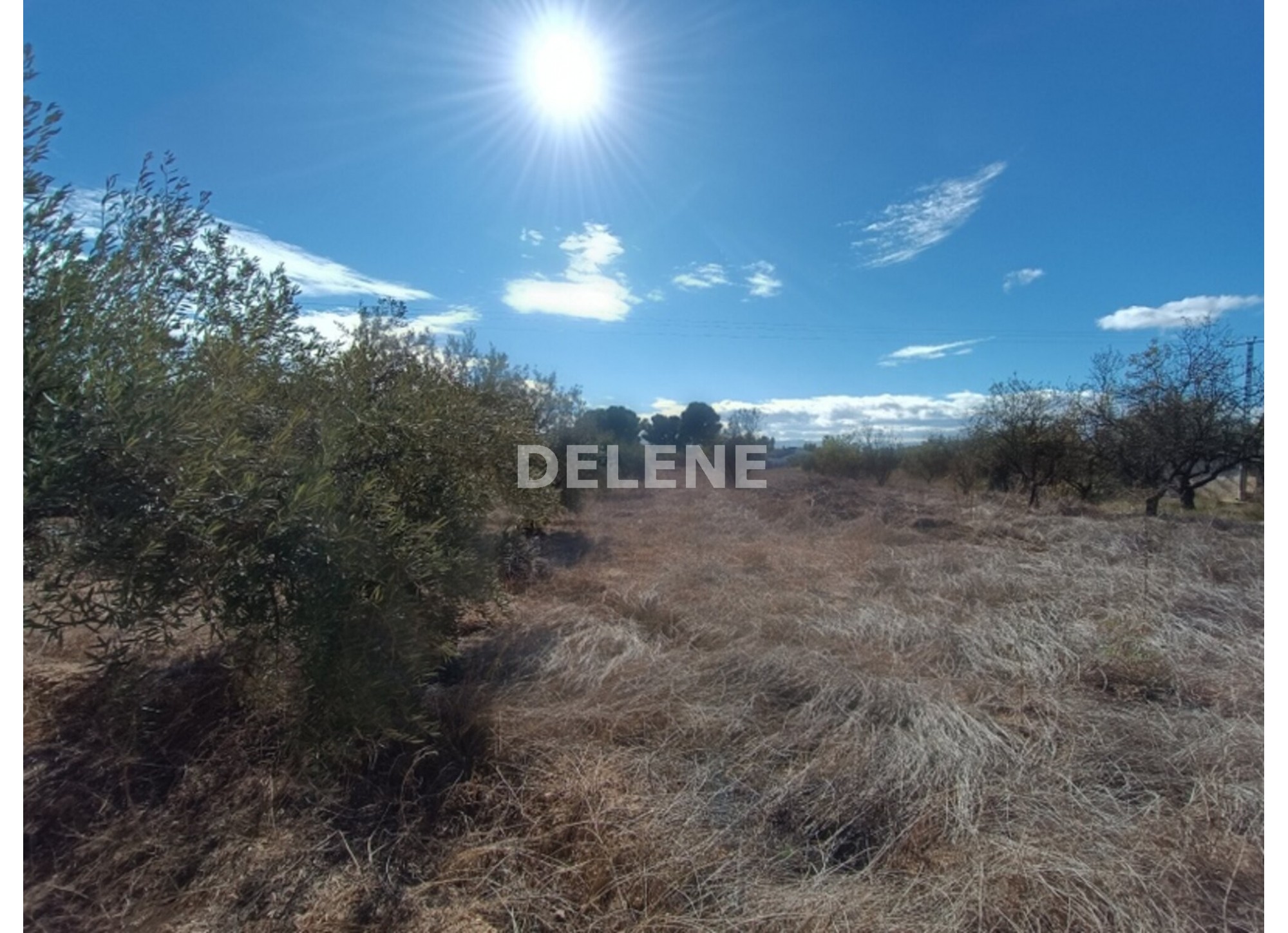 2870 CHALET DE CAMPO CON PISCINA Y TERRENO, ZONA LA LOSILLA