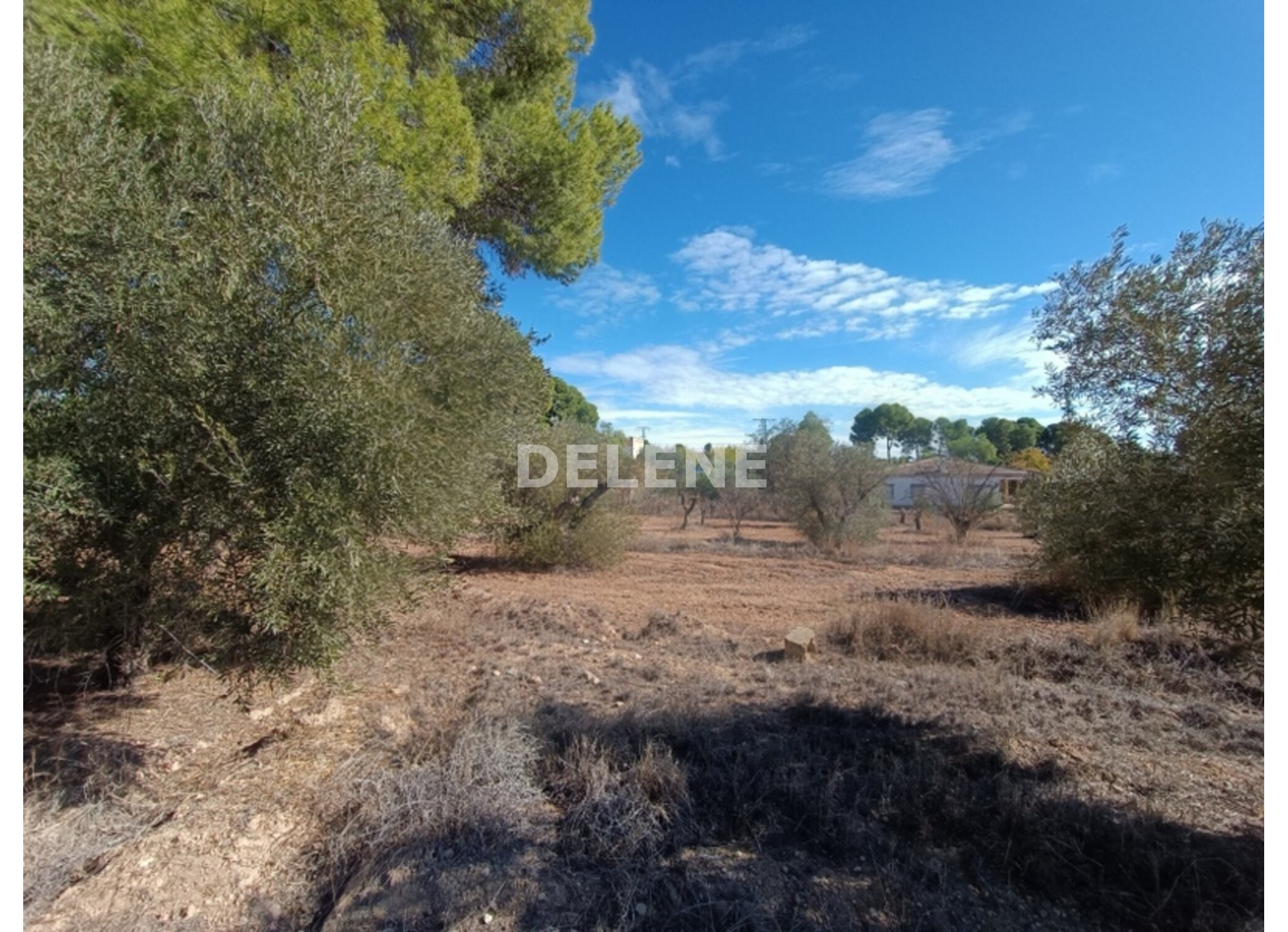 2870 CHALET DE CAMPO CON PISCINA Y TERRENO, ZONA LA LOSILLA