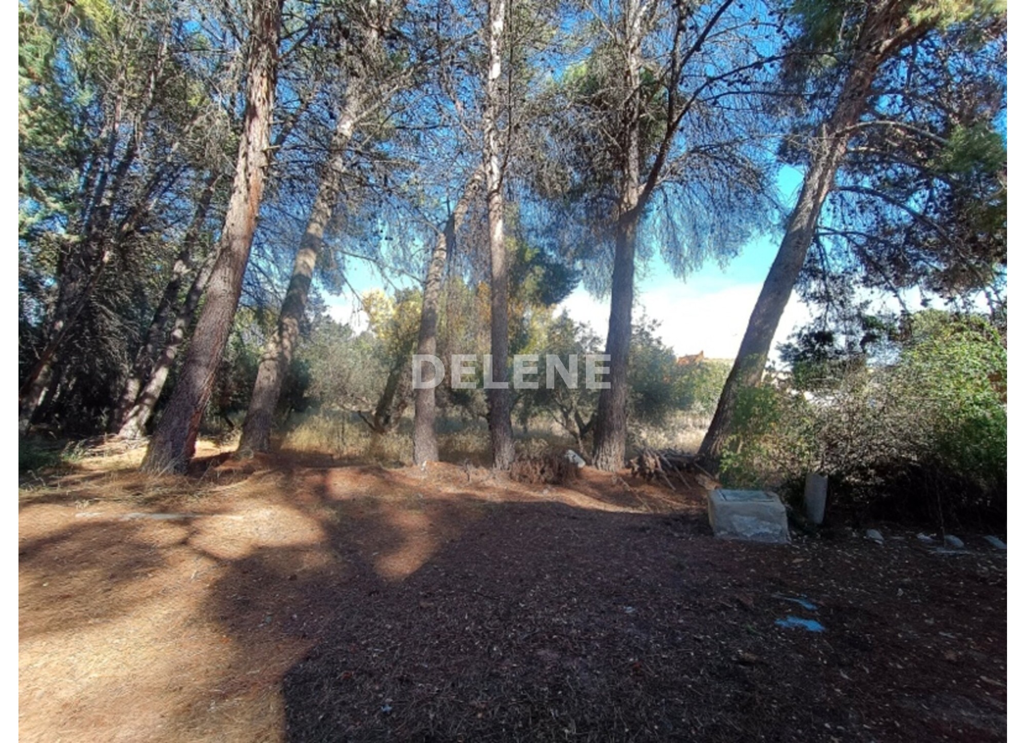 2870 CHALET DE CAMPO CON PISCINA Y TERRENO, ZONA LA LOSILLA