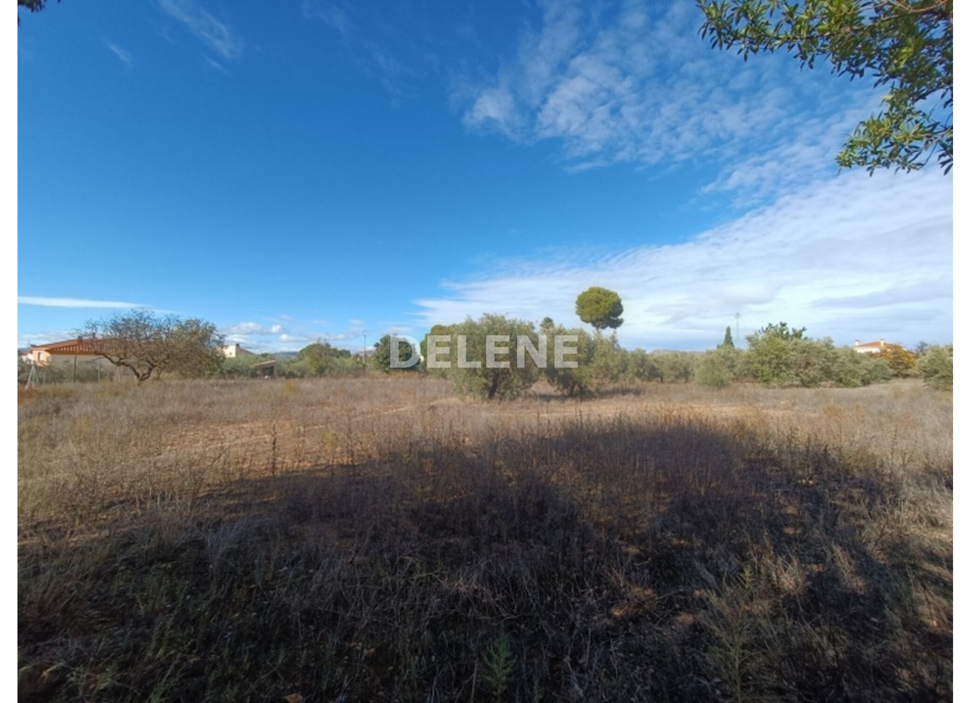2871 TERRENO CON VIVIENDA PARA REFORMAR EN DIRECCIÓN CASA POTRILLA