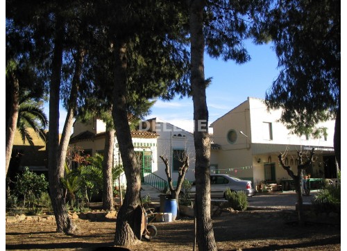 2902 CASA DE CAMPO, ZONA