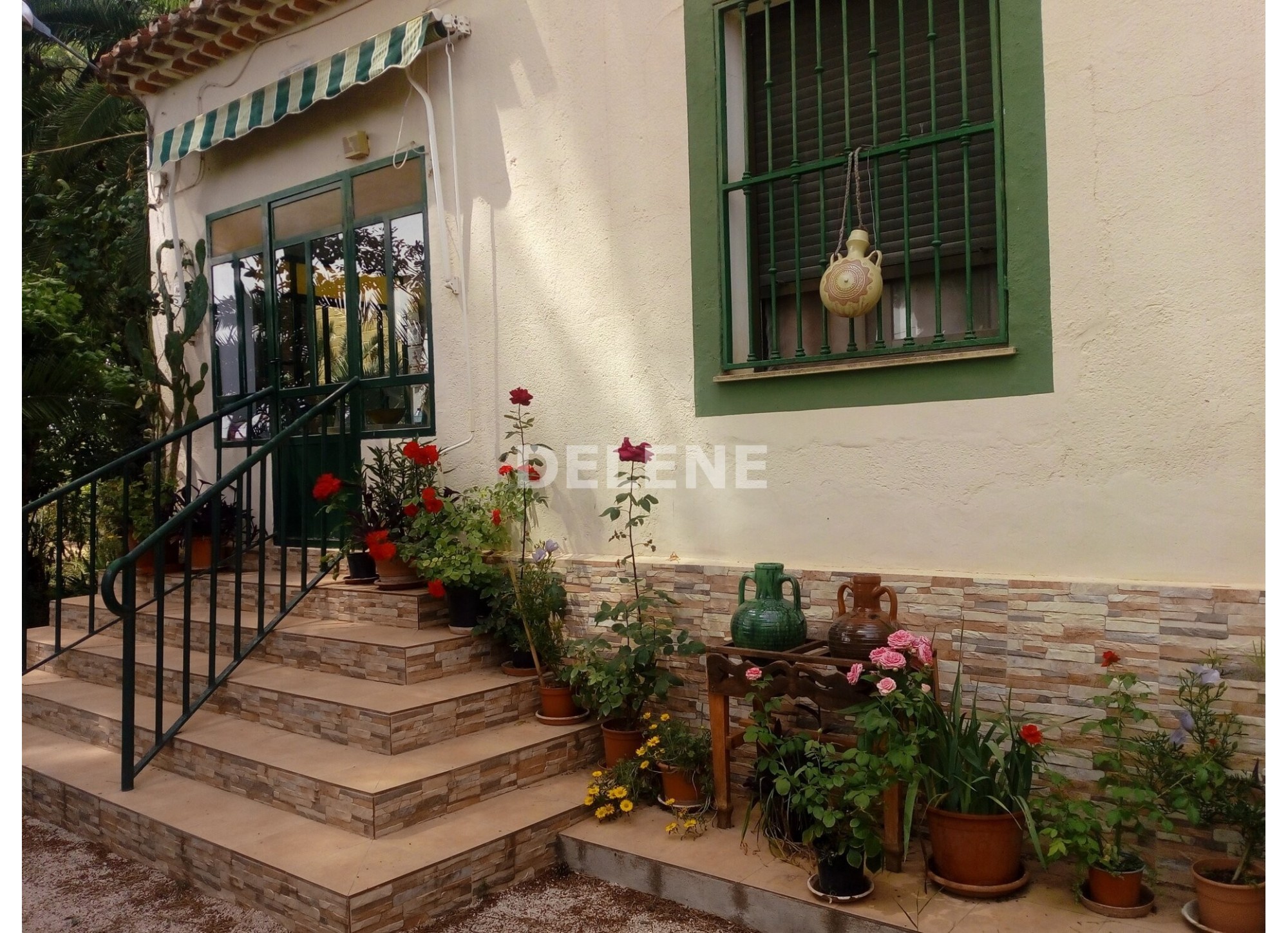 2902 CASA DE CAMPO, ZONA