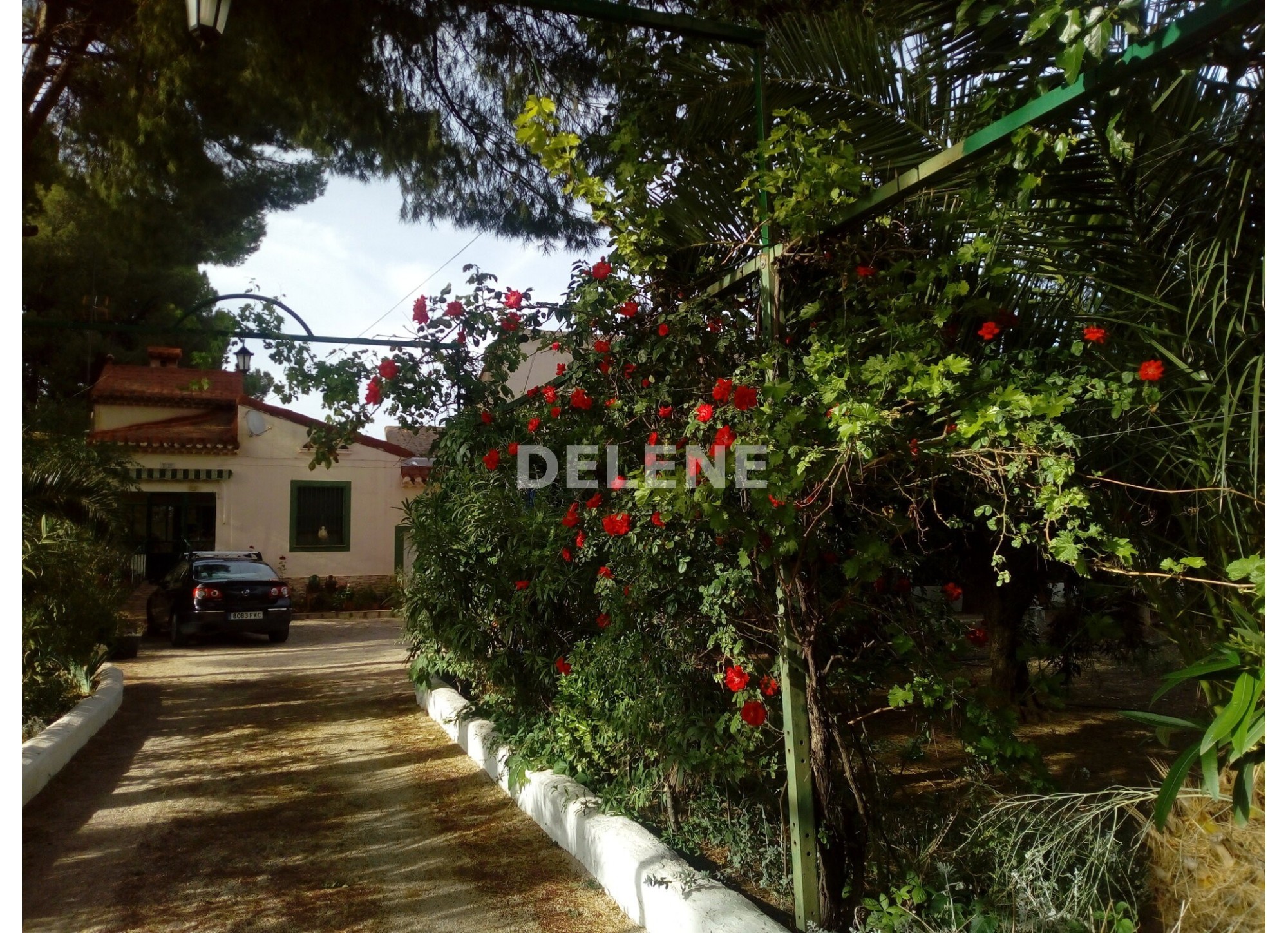 2902 CASA DE CAMPO, ZONA