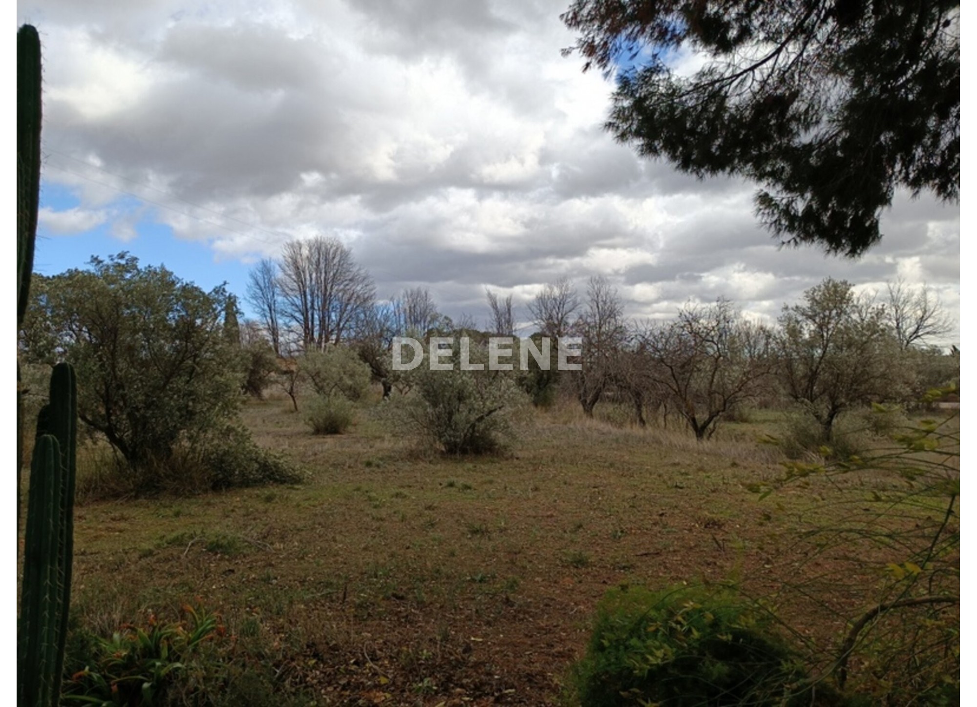 2917 CASA DE CAMPO CON PISCINA Y TERRENO, CARRETERA DE JAEN