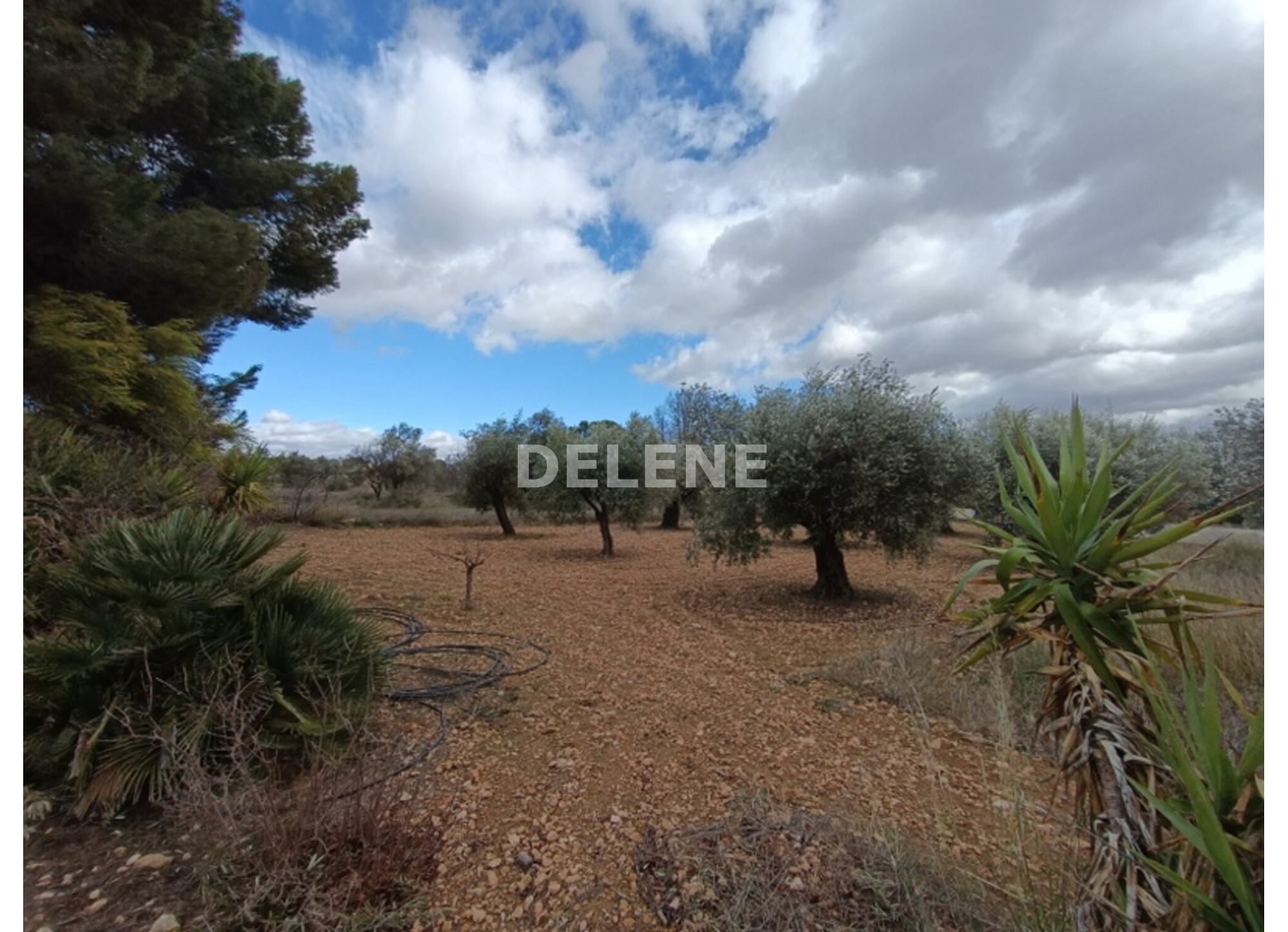 2917 CASA DE CAMPO CON PISCINA Y TERRENO, CARRETERA DE JAEN