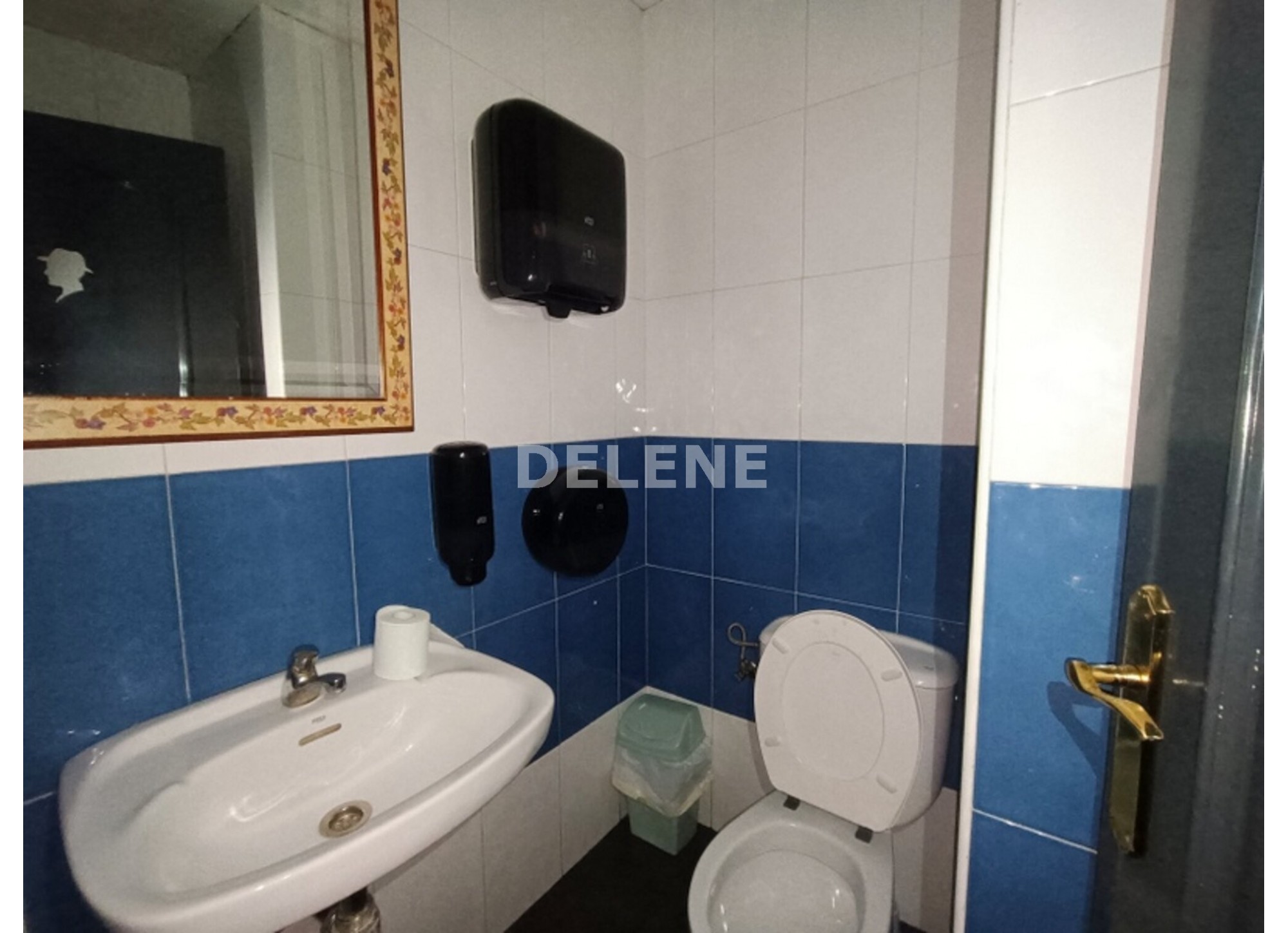 2924 RESTAURANTE, AVENIDA DE LA CONSTITUCIÓN