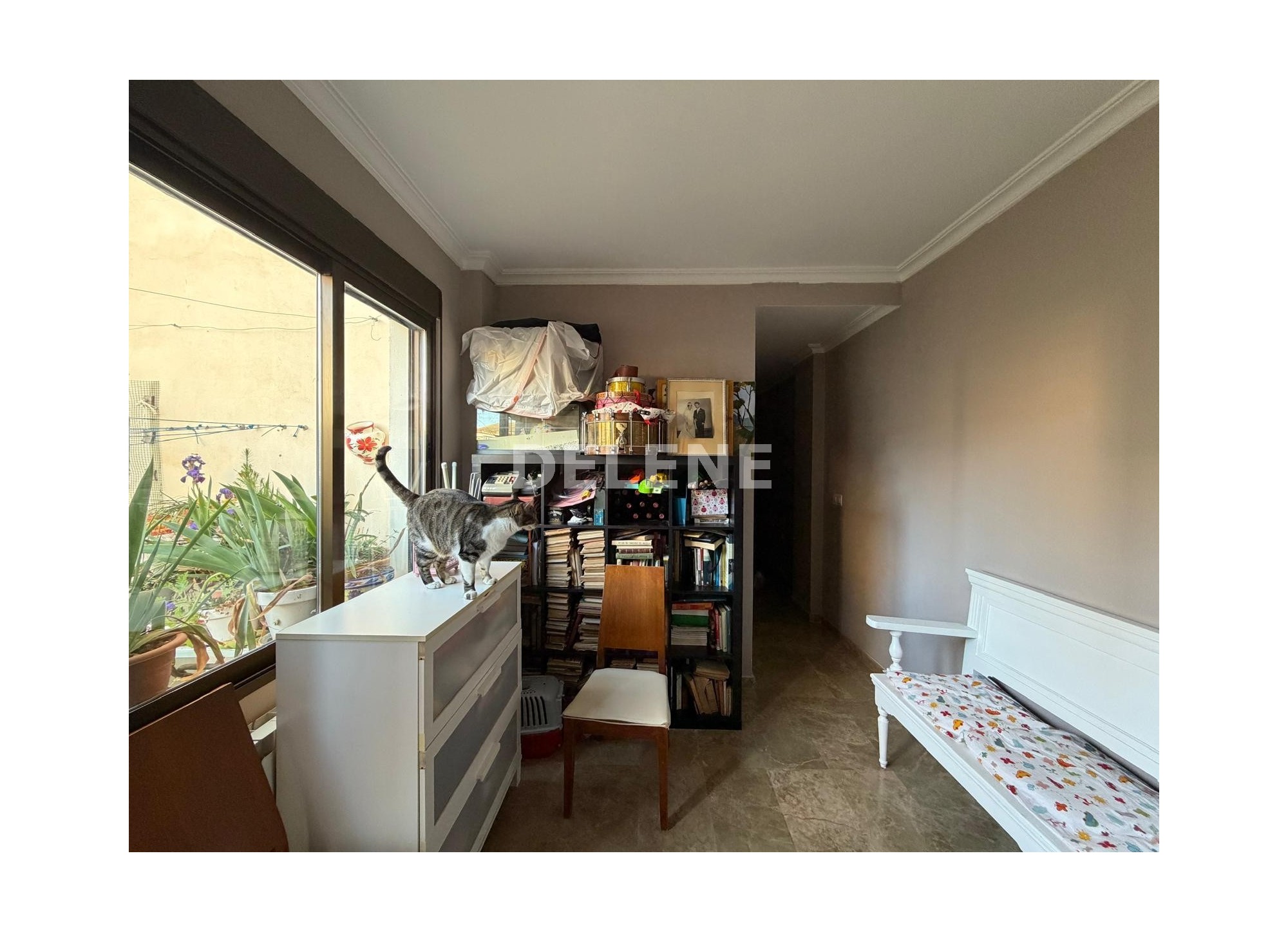 2727 PISO CON GARAJE Y TRASTERO, PRÓXIMO A CORREOS