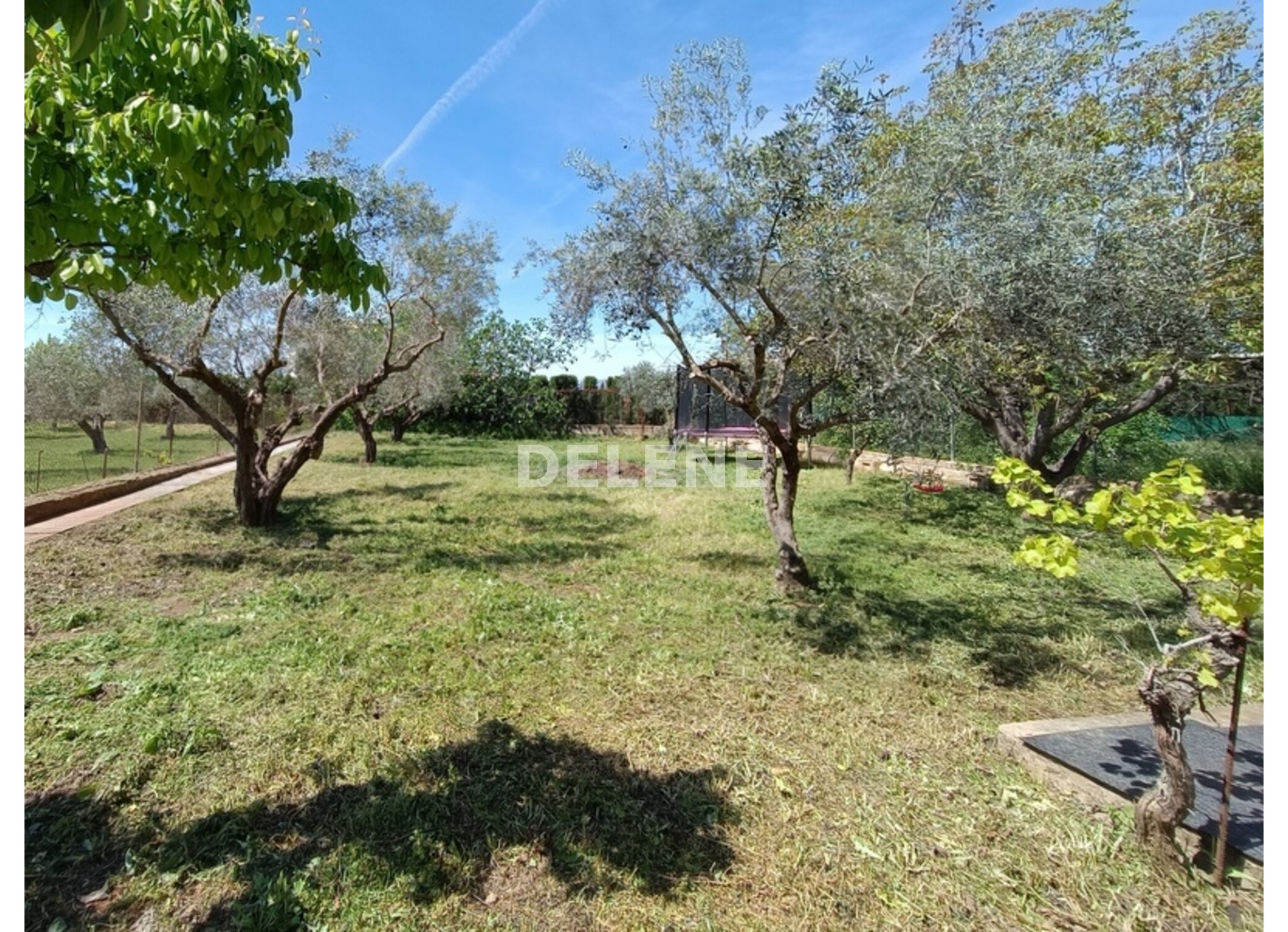 2949 CASA DE CAMPO, ZONA CASA POTRILLAS