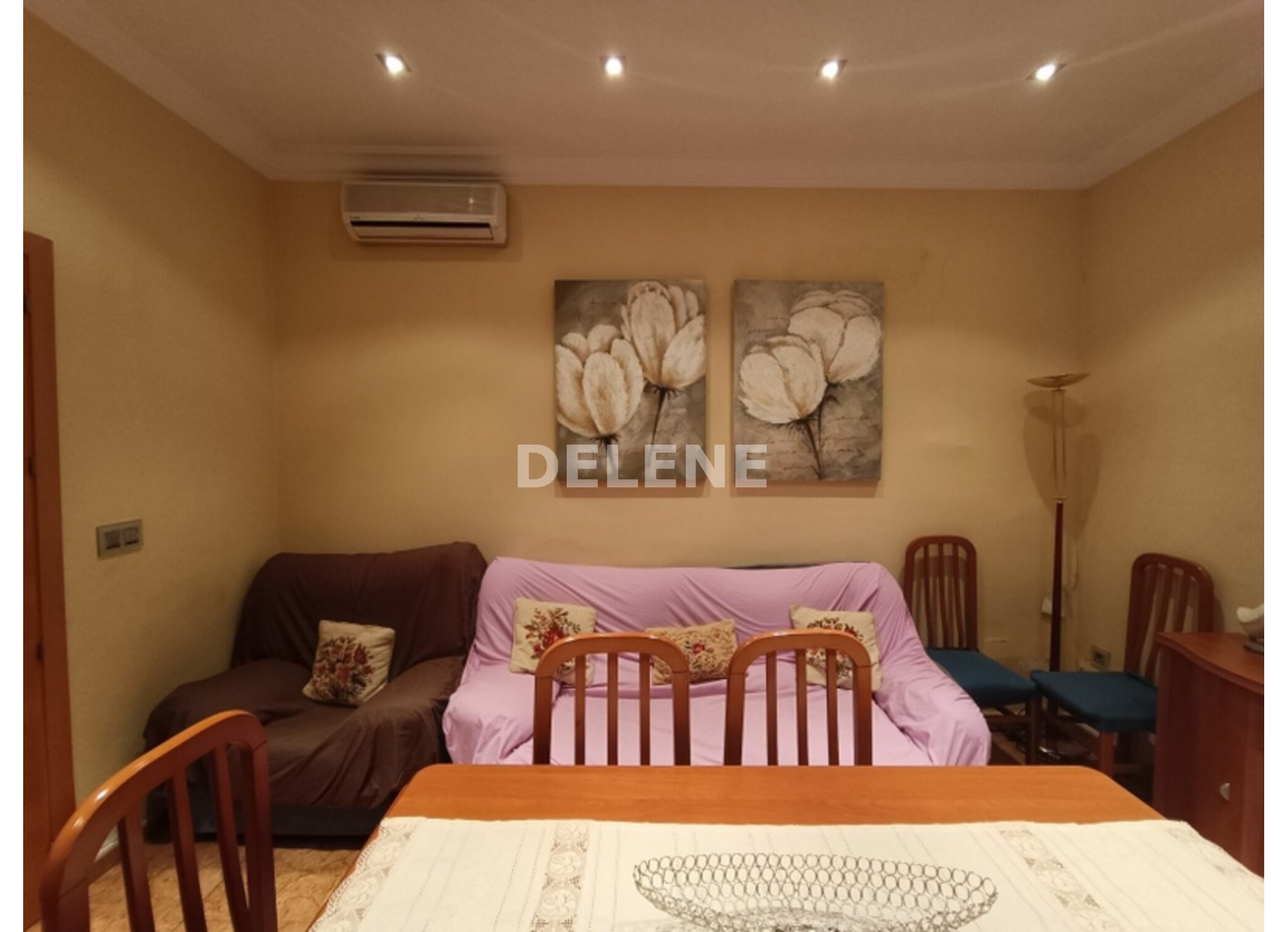 2952 CASA CON TERRAZAS, ZONA AVDA. DE LA CONSTITUCIÓN