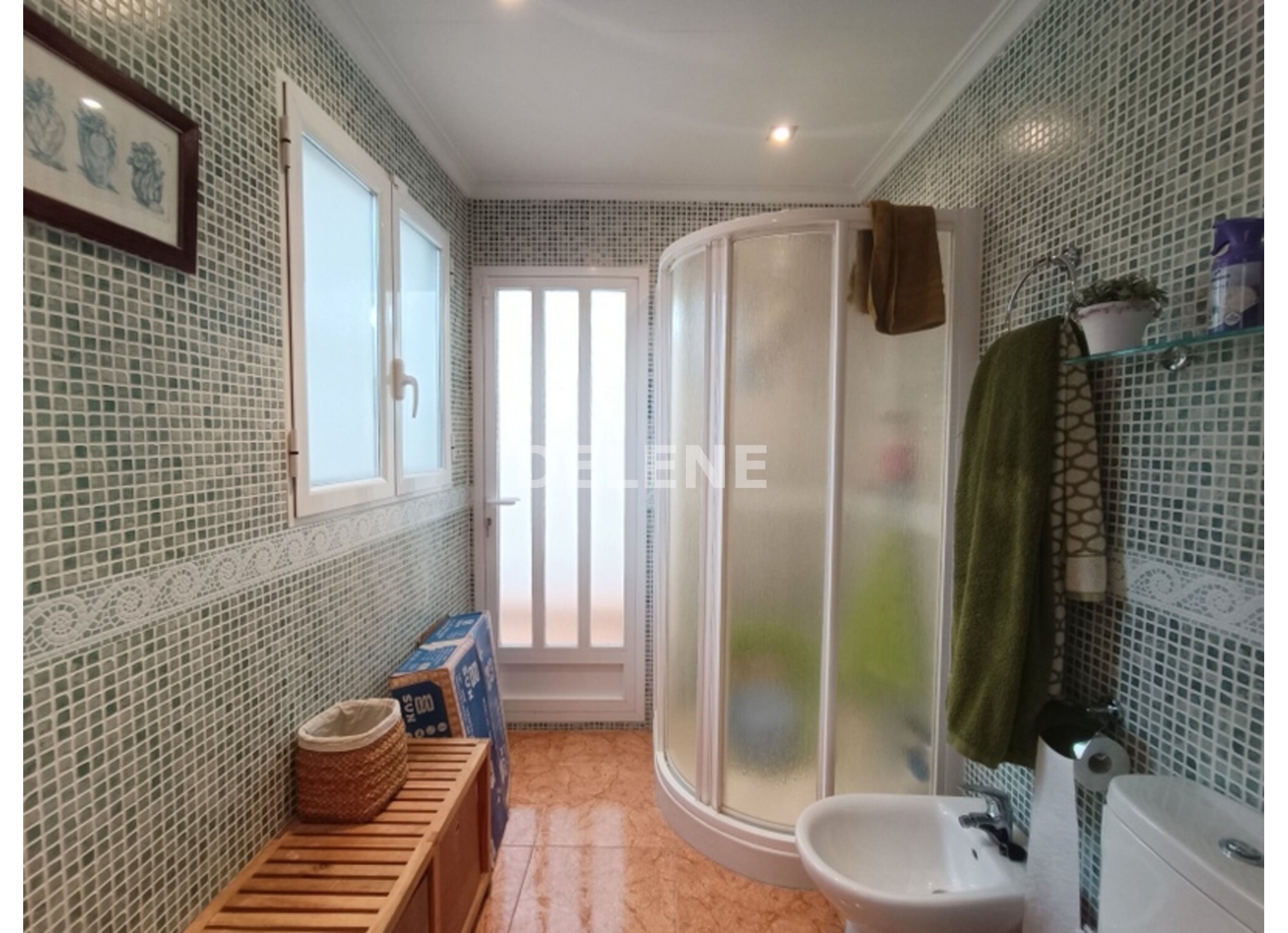 2952 CASA CON TERRAZAS, ZONA AVDA. DE LA CONSTITUCIÓN