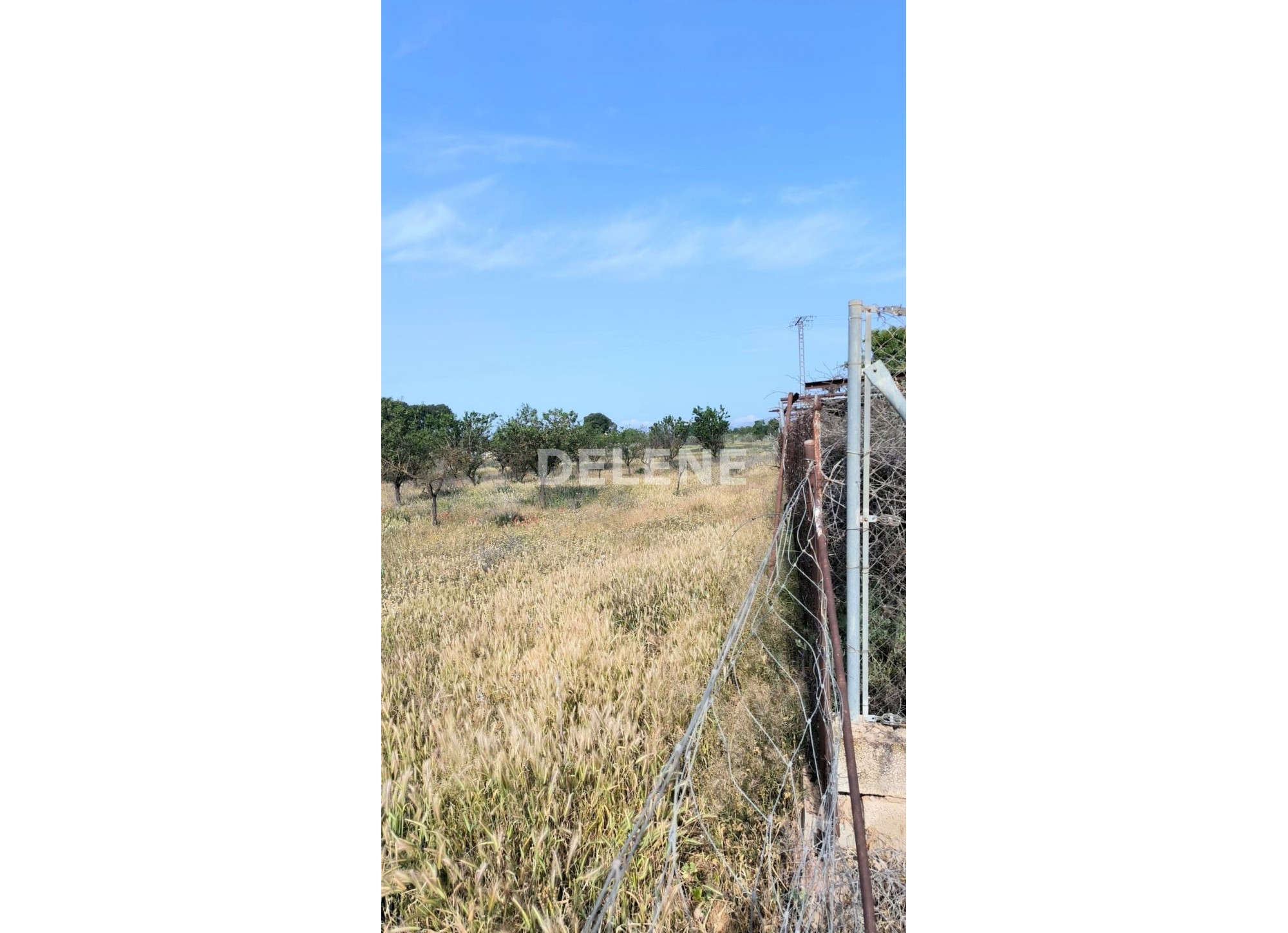 2176 TERRENO DE 14.168 M2, ZONA LAS HAZAS