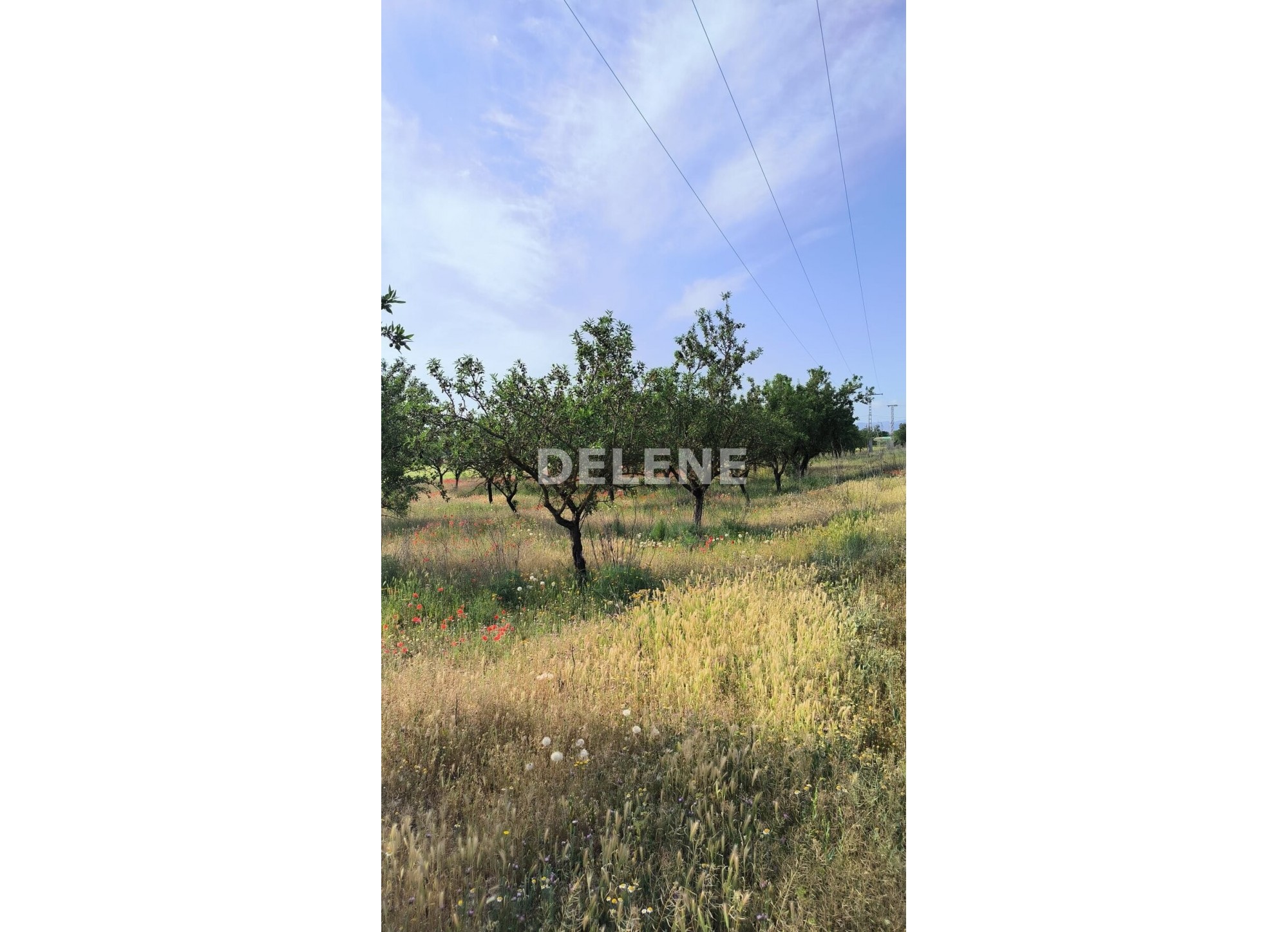 2176 TERRENO DE 14.168 M2, ZONA LAS HAZAS