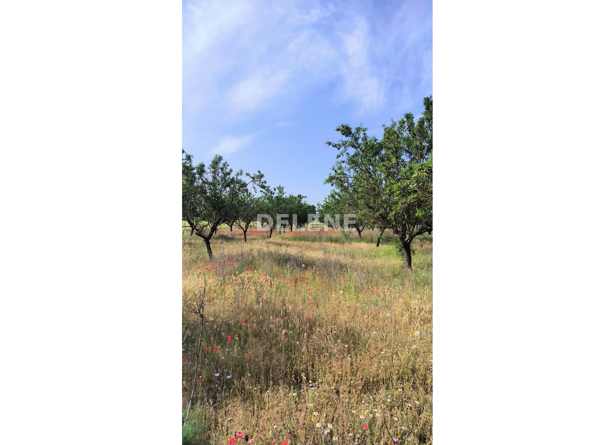 2176 TERRENO DE 14.168 M2, ZONA LAS HAZAS