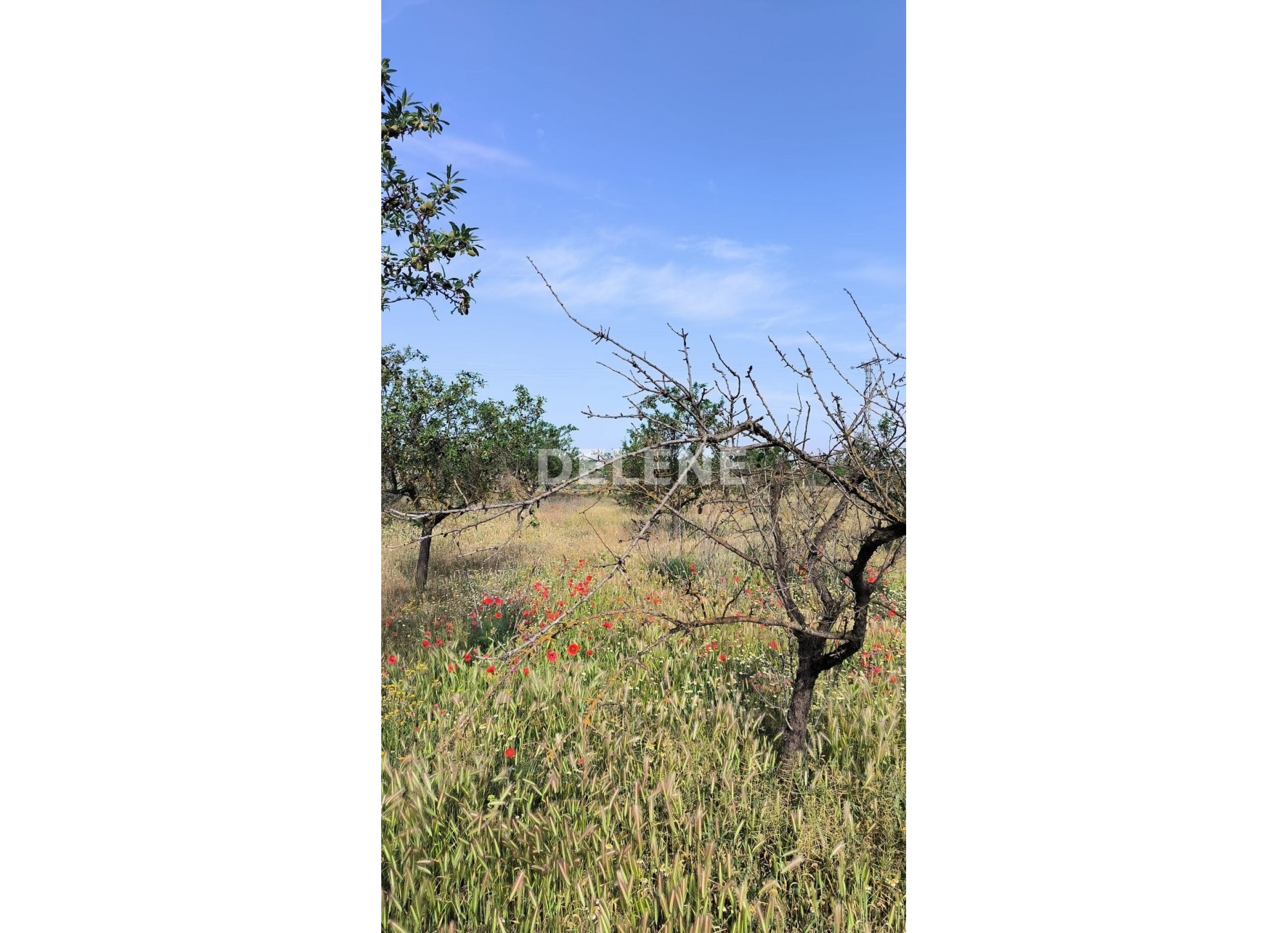 2176 TERRENO DE 14.168 M2, ZONA LAS HAZAS