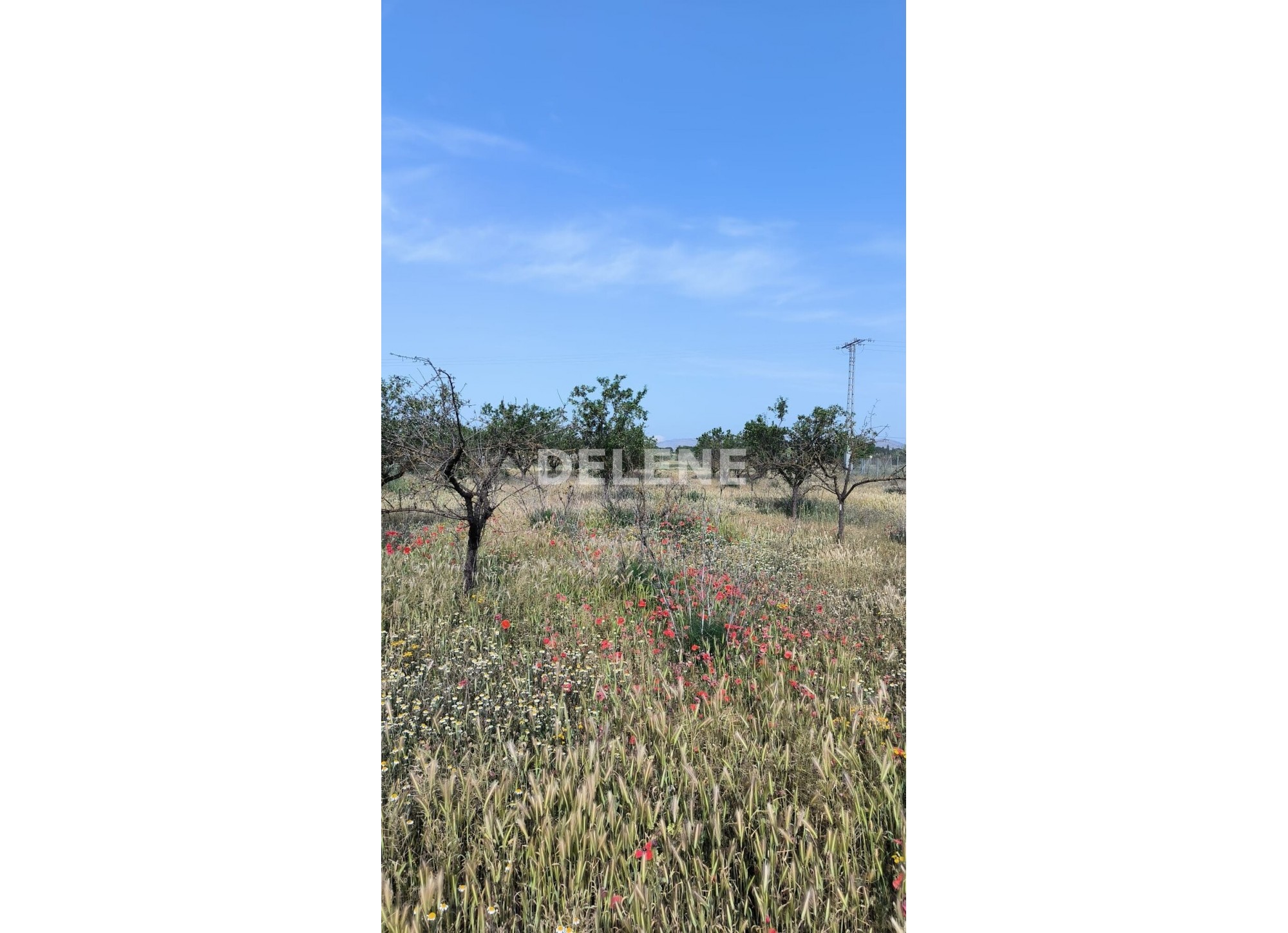 2176 TERRENO DE 14.168 M2, ZONA LAS HAZAS