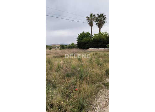 2084 VENTA TERRENO RÚSTICO LOMA DEL GALLEGO