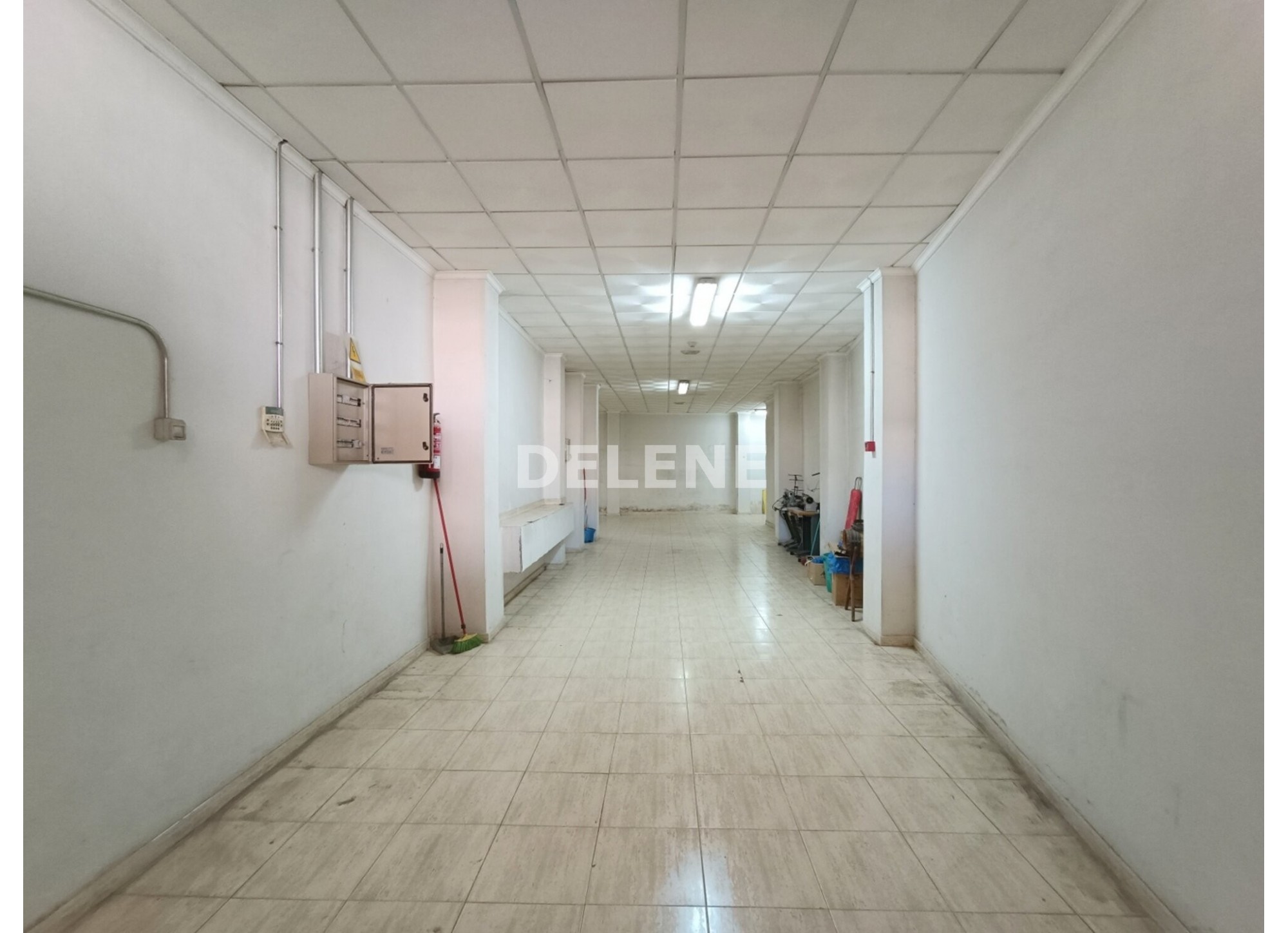 2968 LOCAL ZONA AVDA LA LIBERTAD