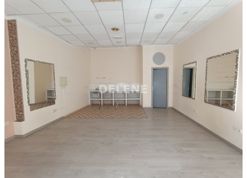 2969 LOCAL COMERCIAL ZONA PARQUE