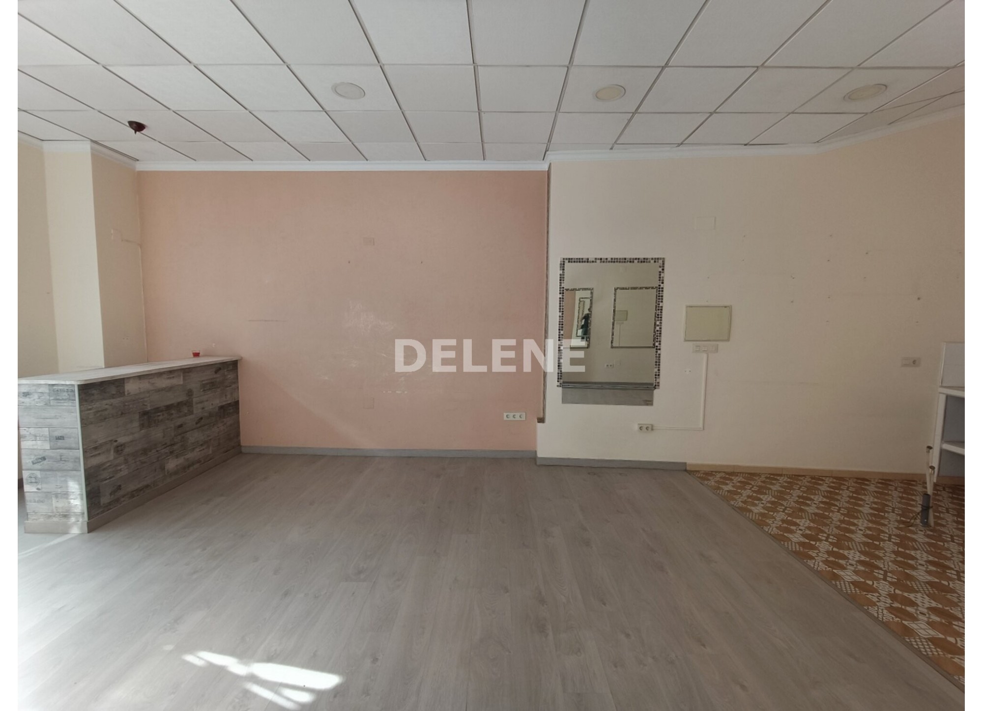2969 LOCAL COMERCIAL ZONA PARQUE