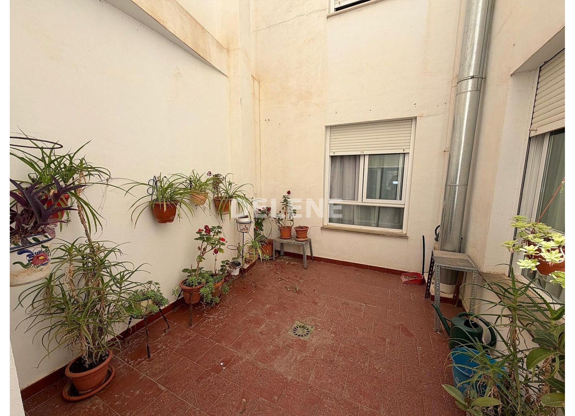 2988 PISO EN ZONA PLAZA NUEVA
