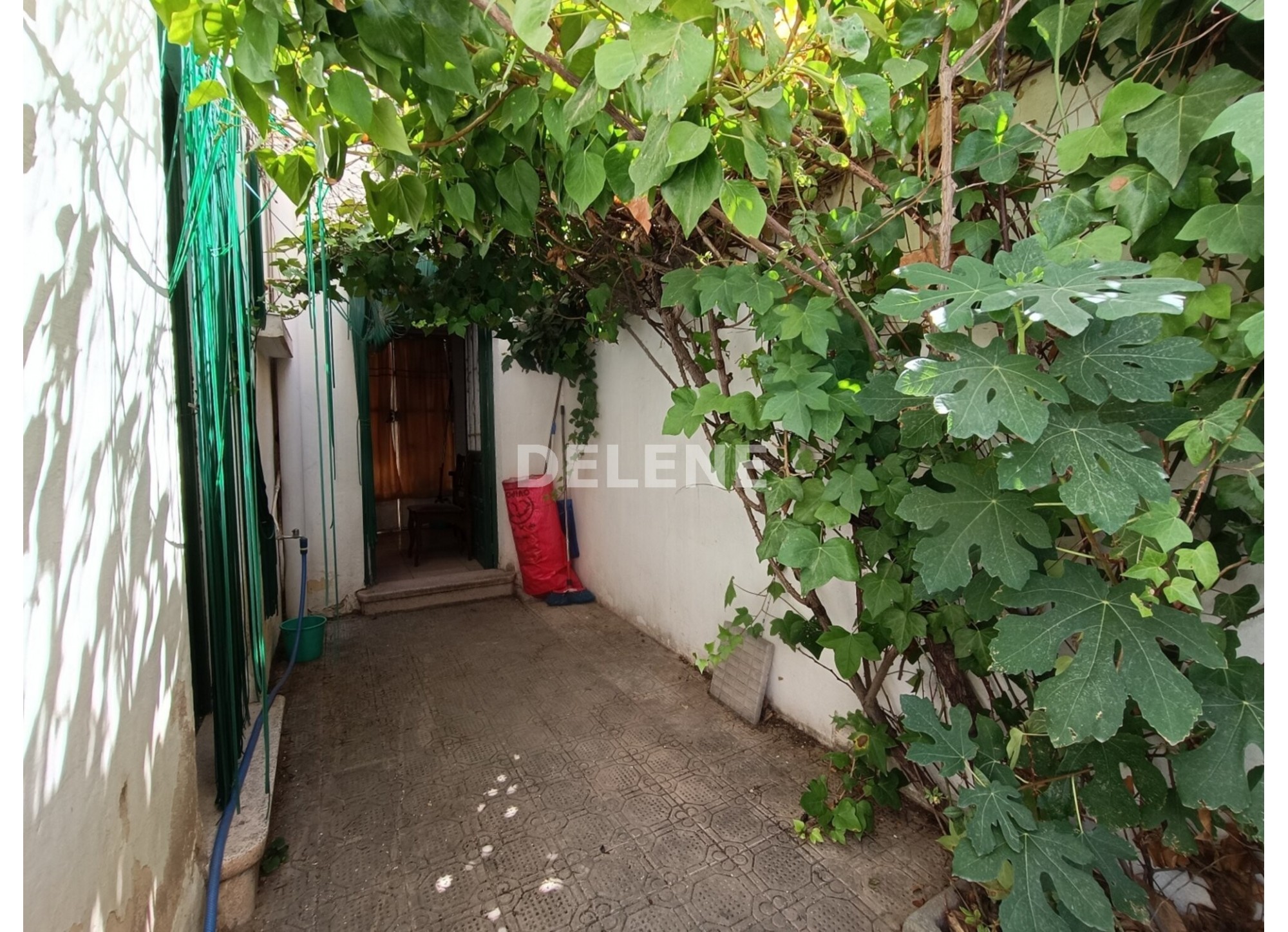 3004 CASA CON PATIO, ZONA PARQUE