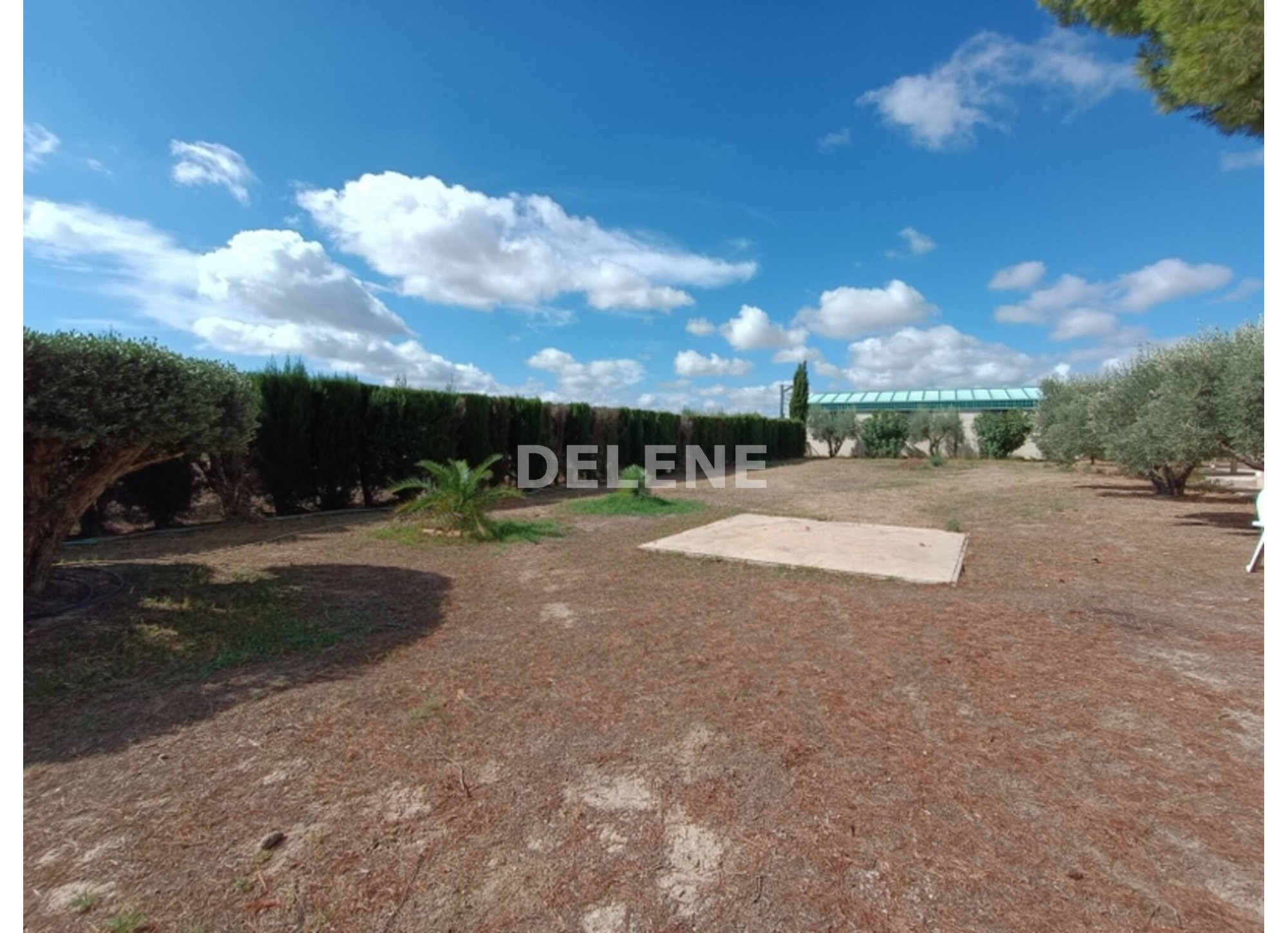 3041 FINCA CON CASA, TERRENO DE CULTIVO Y CUADRAS DE 79.812 M2, TOBARR