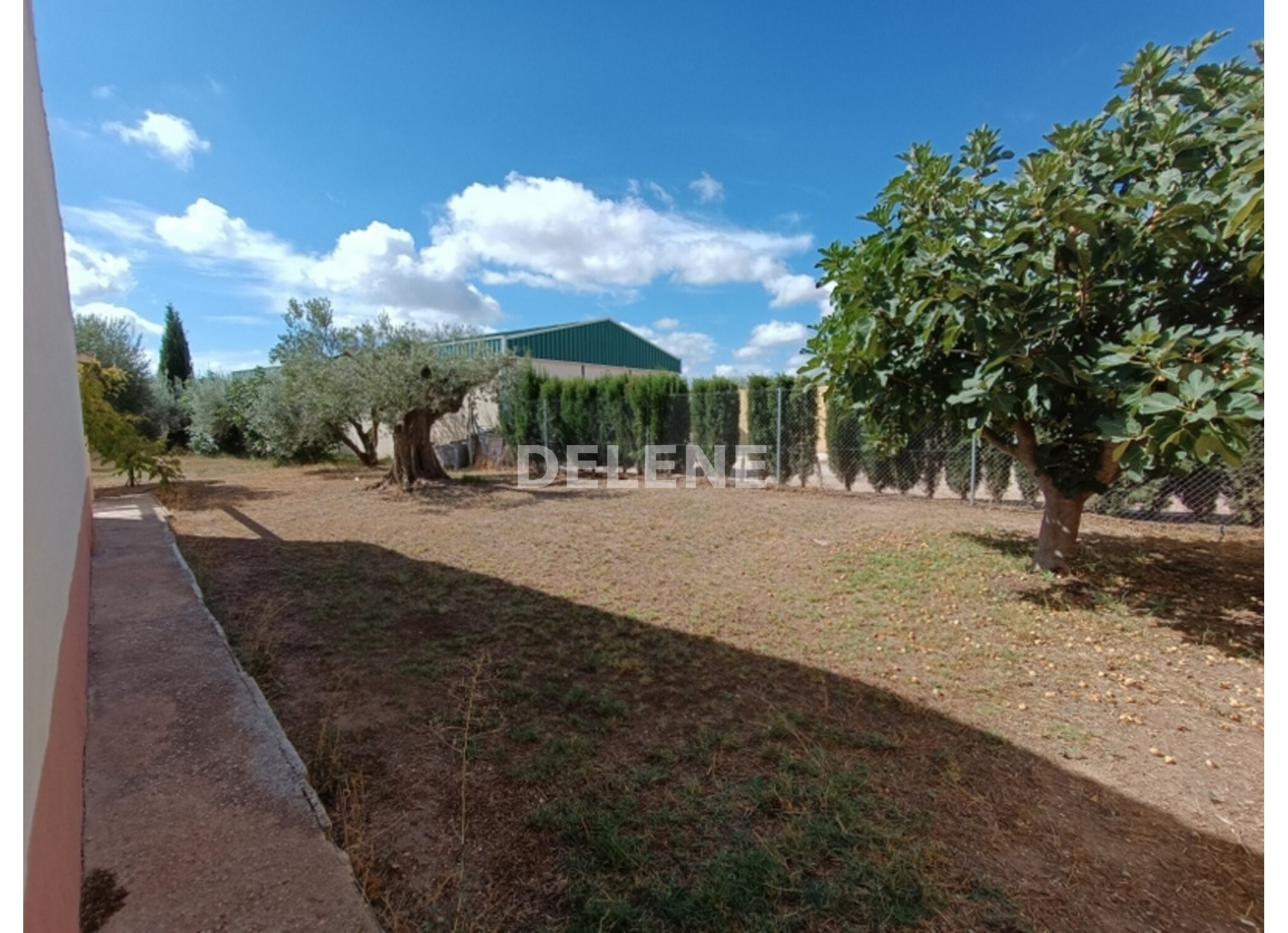 3041 FINCA CON CASA, TERRENO DE CULTIVO Y CUADRAS DE 79.812 M2, TOBARR