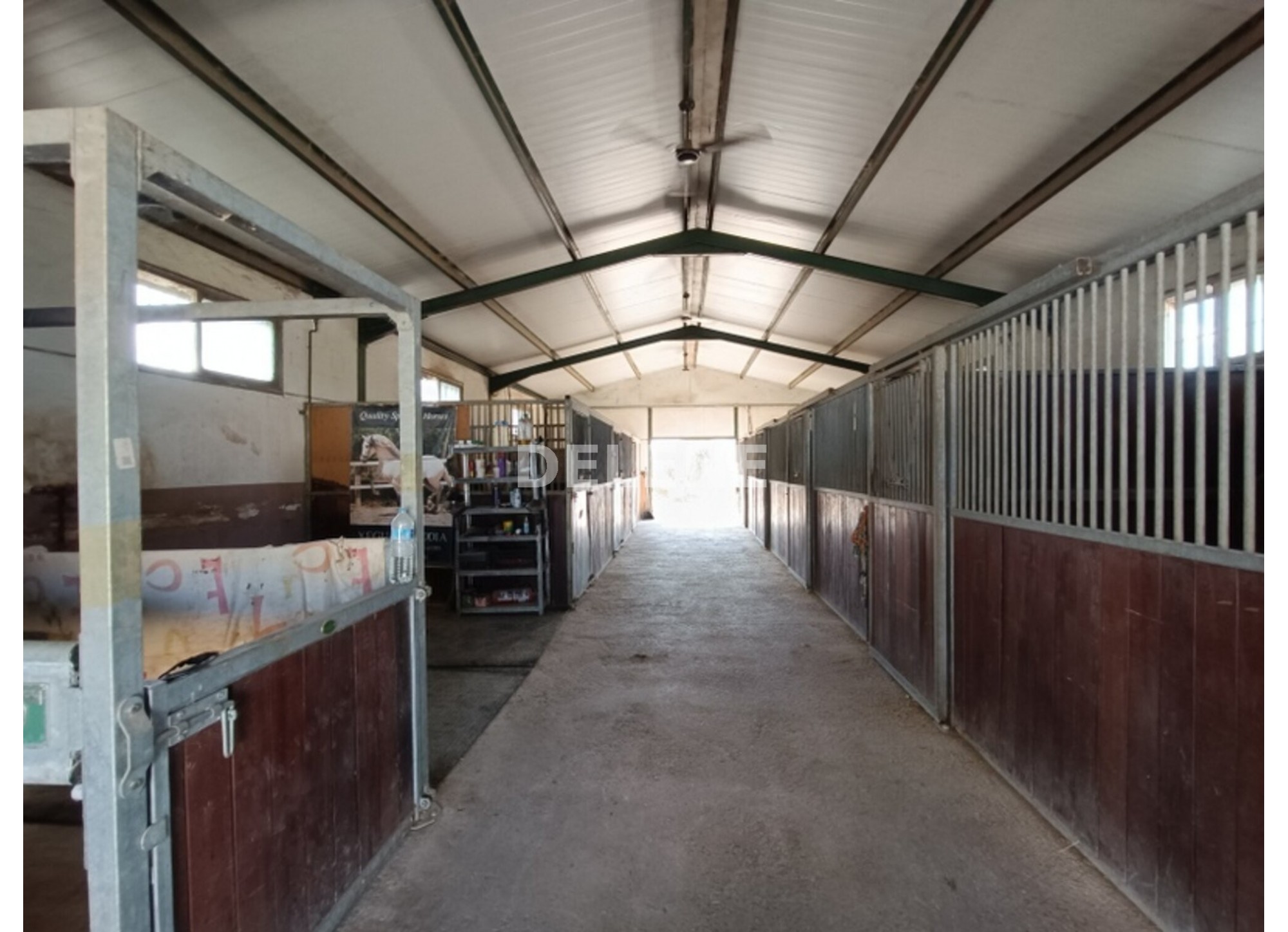 3041 FINCA CON CASA, TERRENO DE CULTIVO Y CUADRAS DE 79.812 M2, TOBARR
