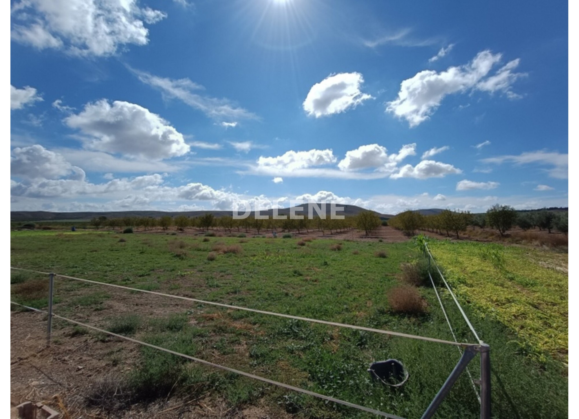 3041 FINCA CON CASA, TERRENO DE CULTIVO Y CUADRAS DE 79.812 M2, TOBARR
